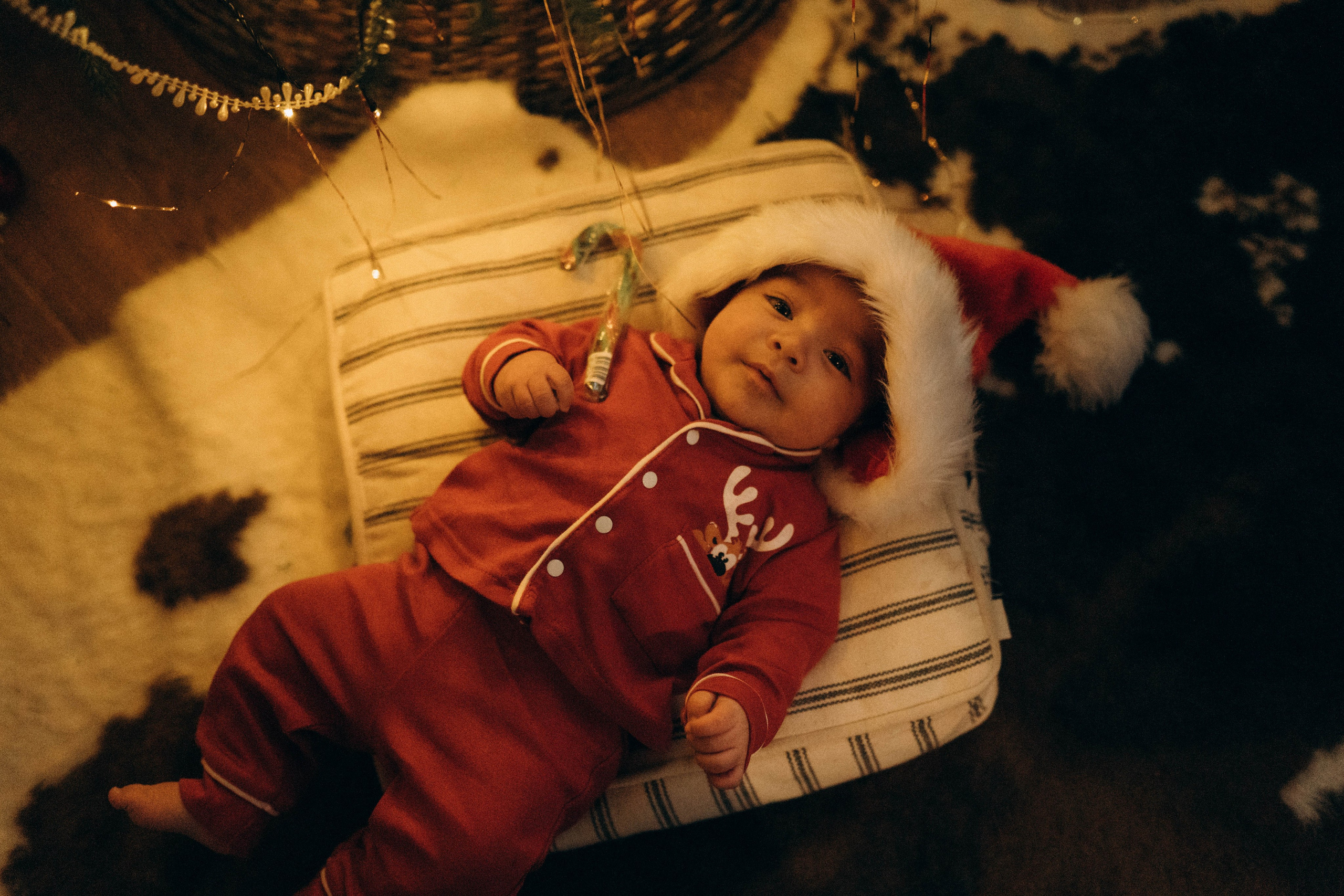 Сева, Сехран, Мурад и Имран. Семейный фотограф Юлия Котова