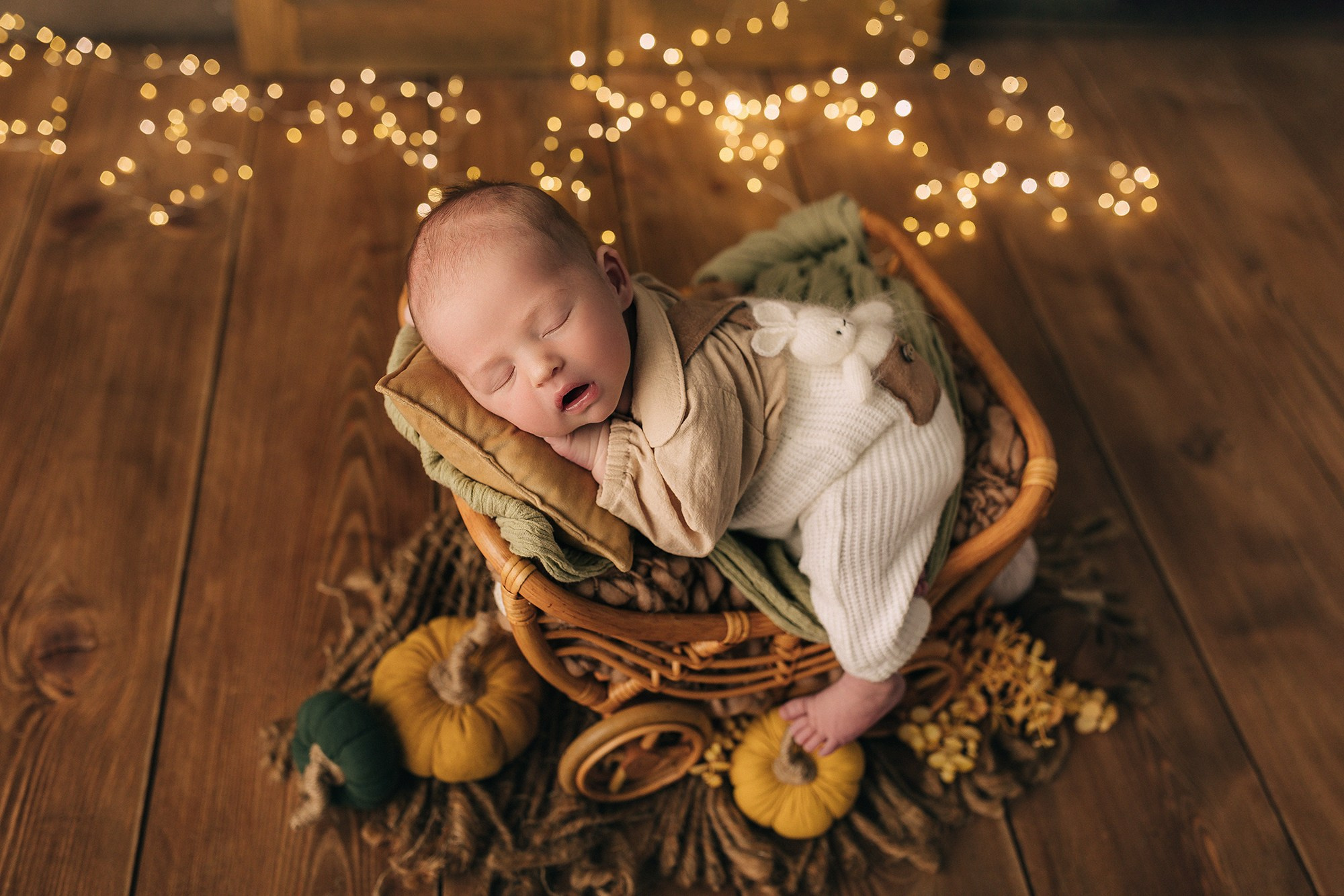 Лев 7 дней. Семейный фотограф новорождённых в Серпухове Юлия Новикова +79637785957