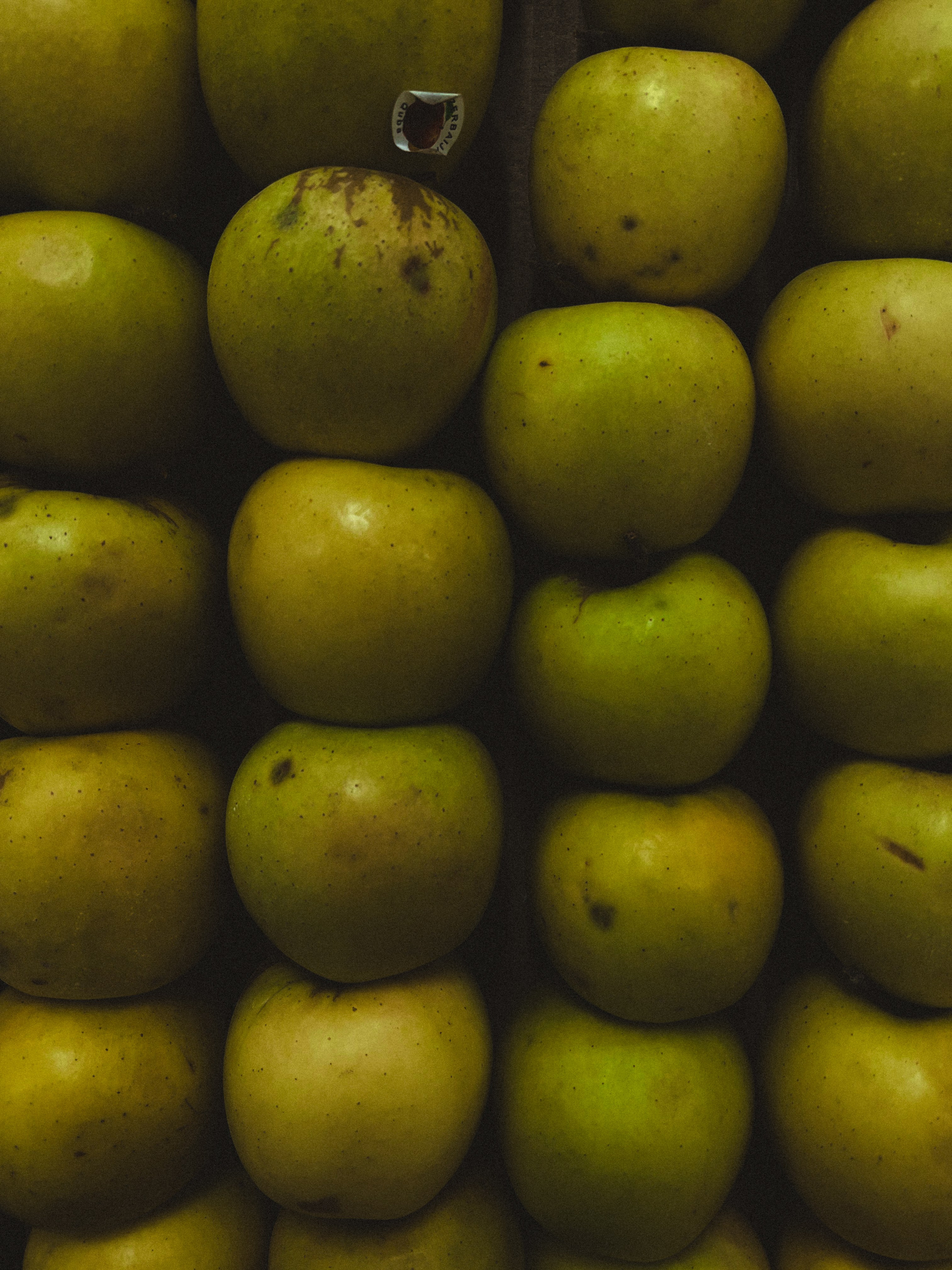 Все пресеты LR | Эффект плёнки. Кинематографичный фотограф, видеограф Лина Плешакова, Санкт-Петербург