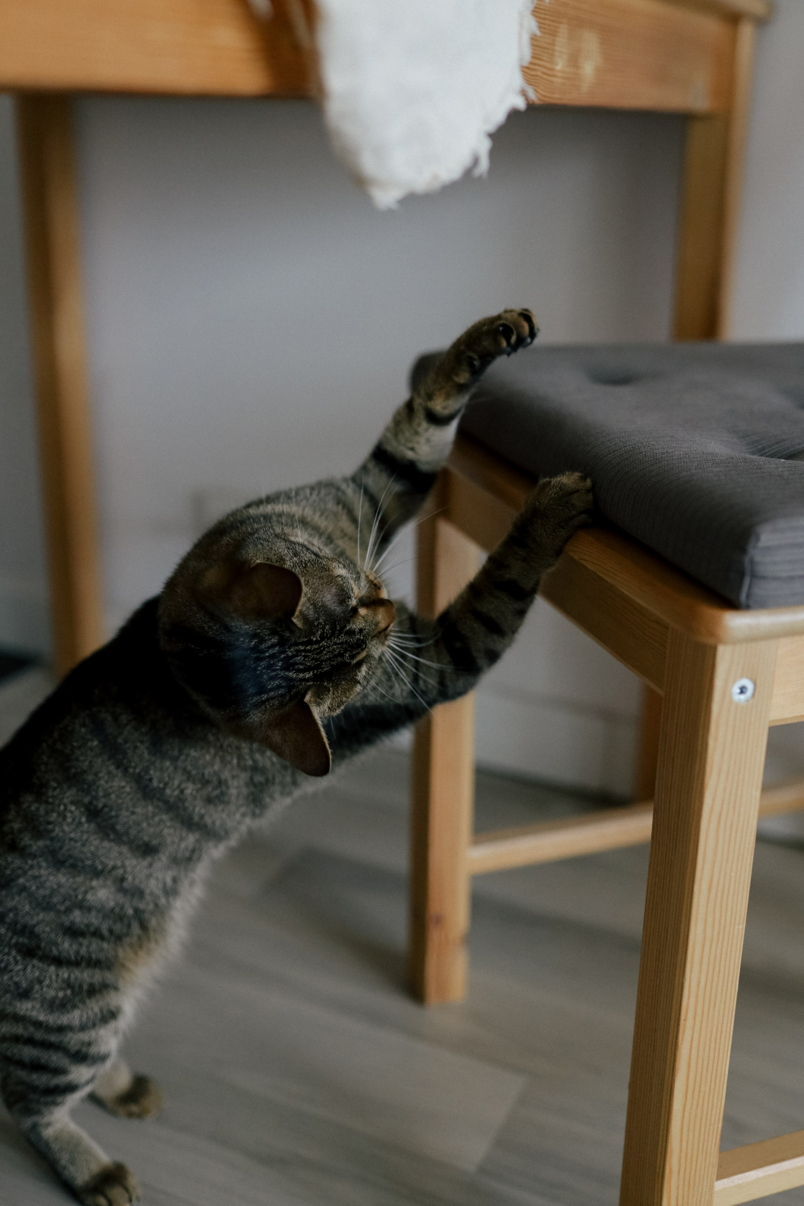Створювати серцем. Свадебный и семейный фотограф в Варшаве