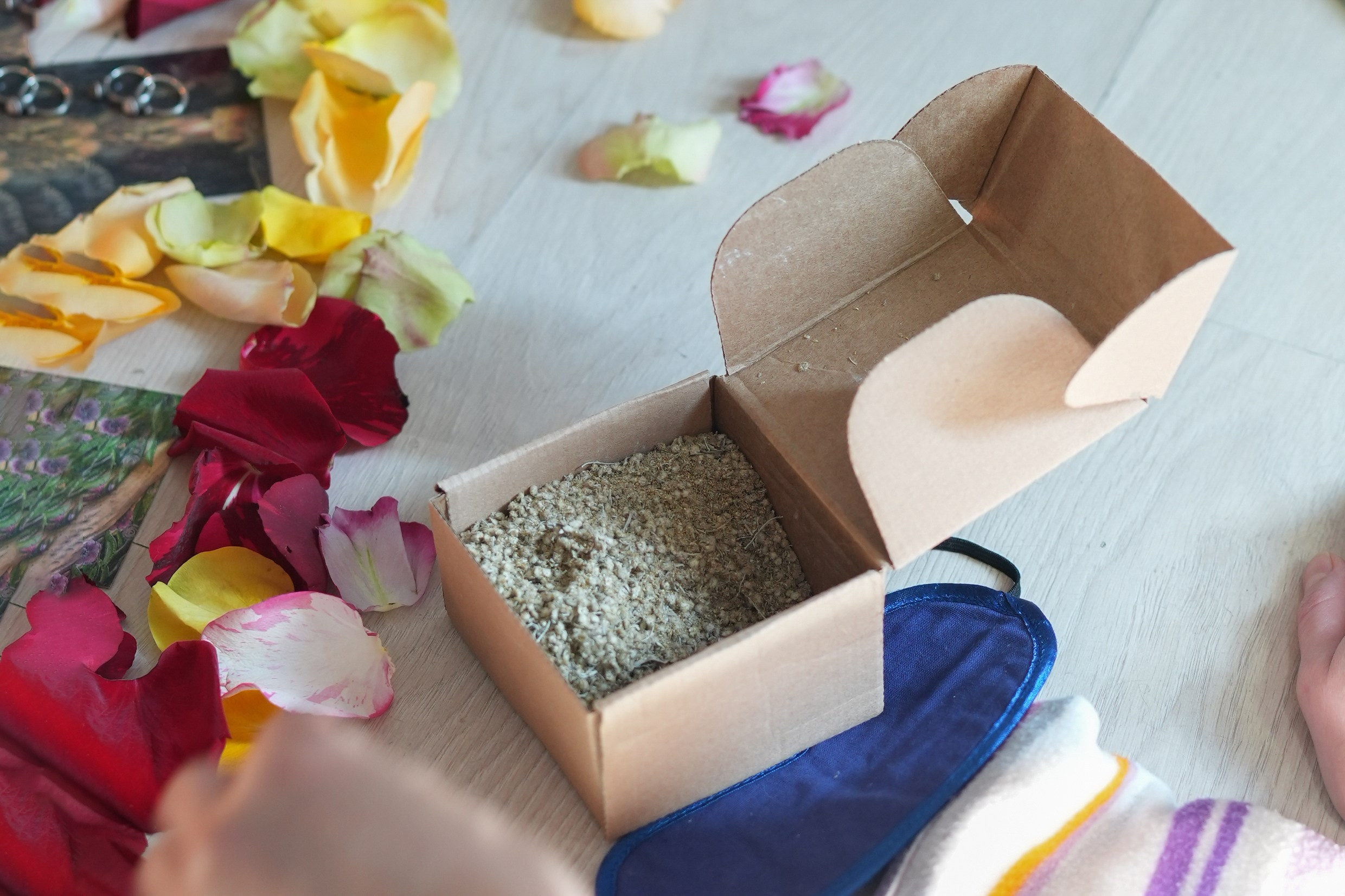 Женский круг «Пробуждение». Детский и семейный фотограф в Сертолово Регина Хабибуллина