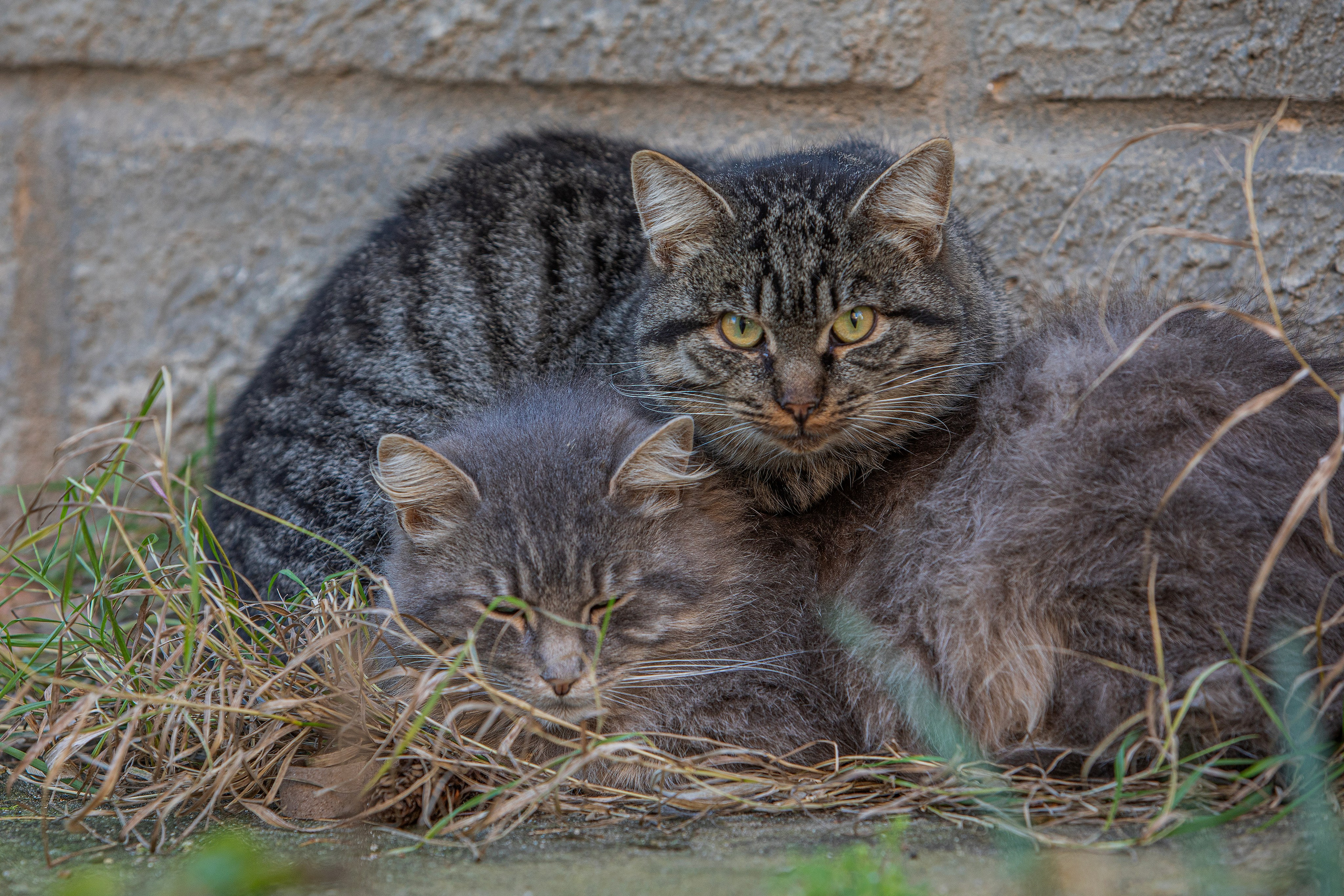 Боровск. Фотограф Сергей Ловкий