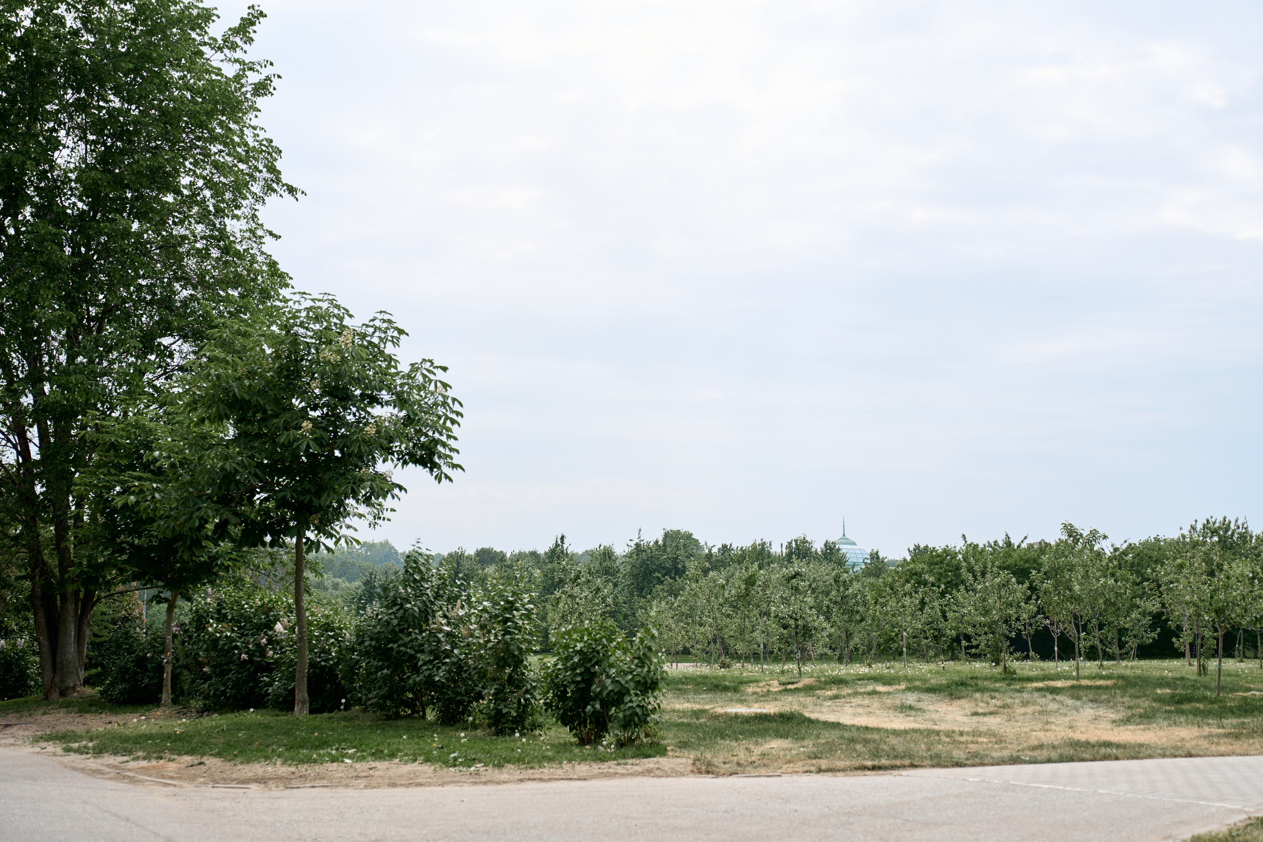 Лия & Николай. Елизавета Мальгина, фотограф в Москве