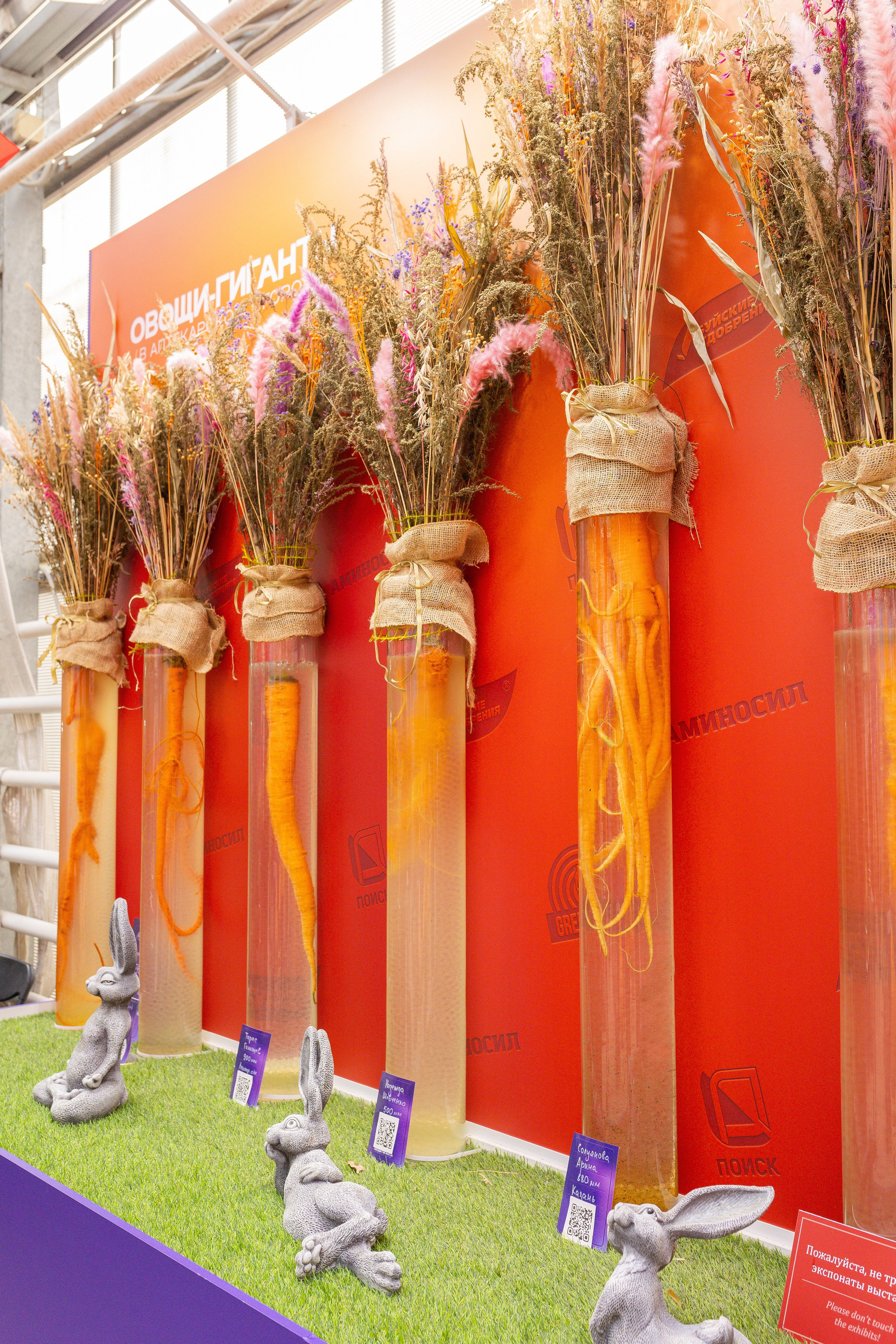 Овощи-гиганты. Александра Куликова фотограф, Москва