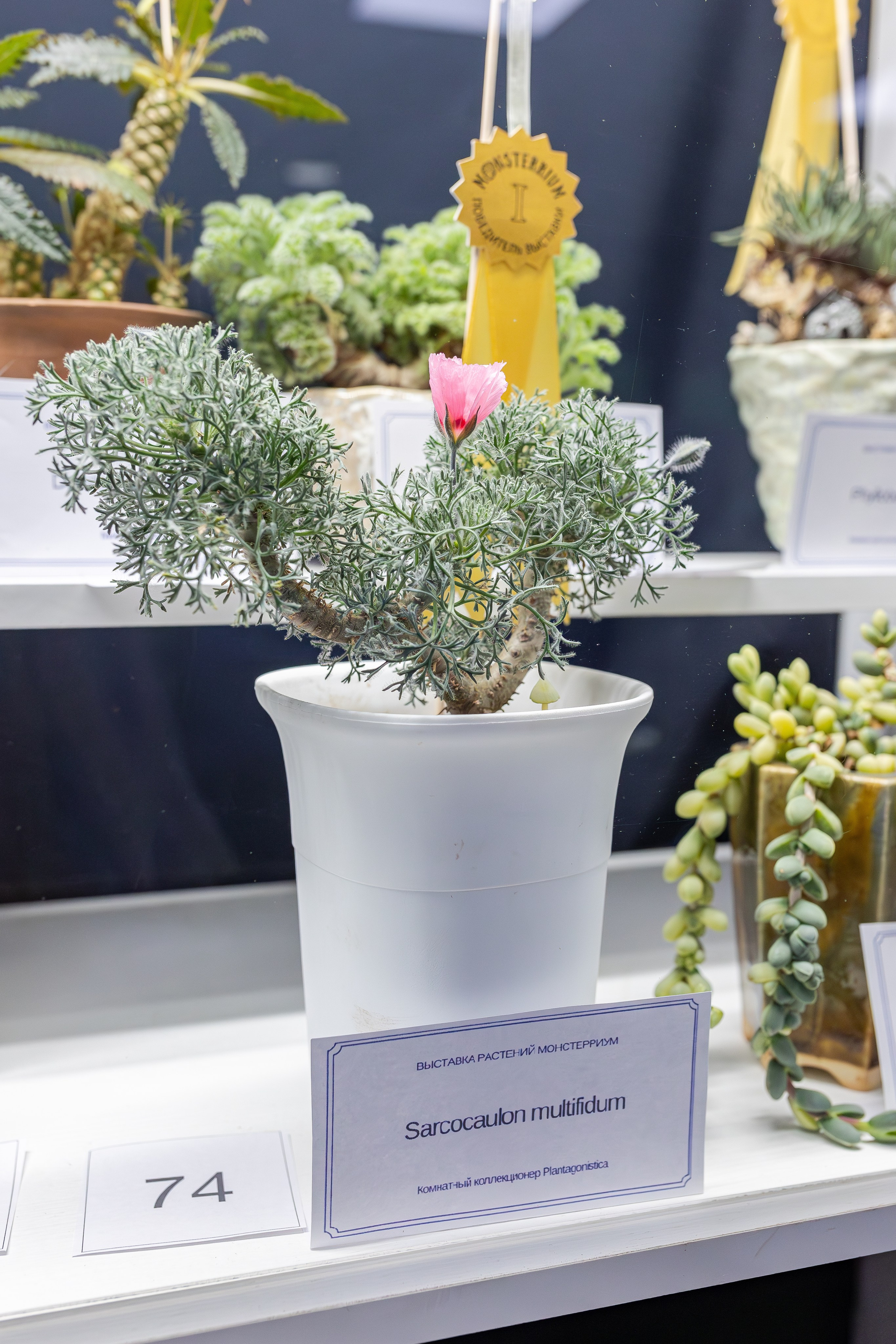 Монстериум апрель 2026. Александра Куликова фотограф, Москва