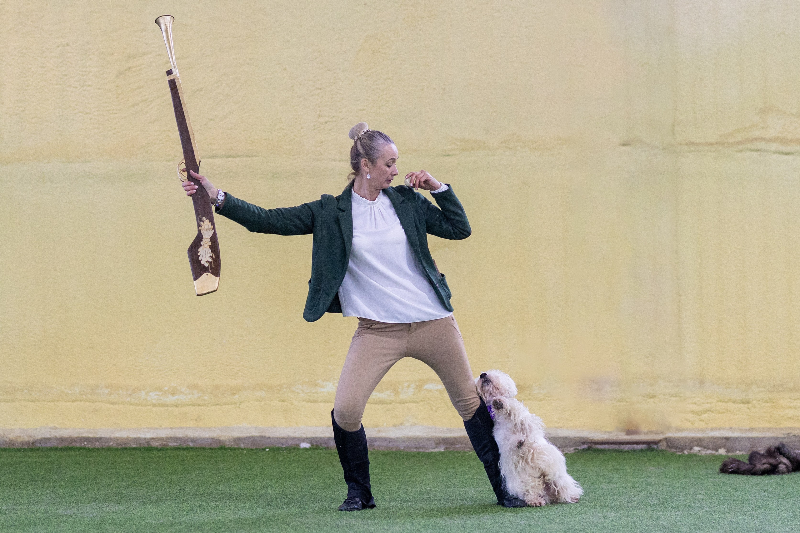 Соревнования танцы. Фотограф-анималист в Москве Кириллова Татьяна