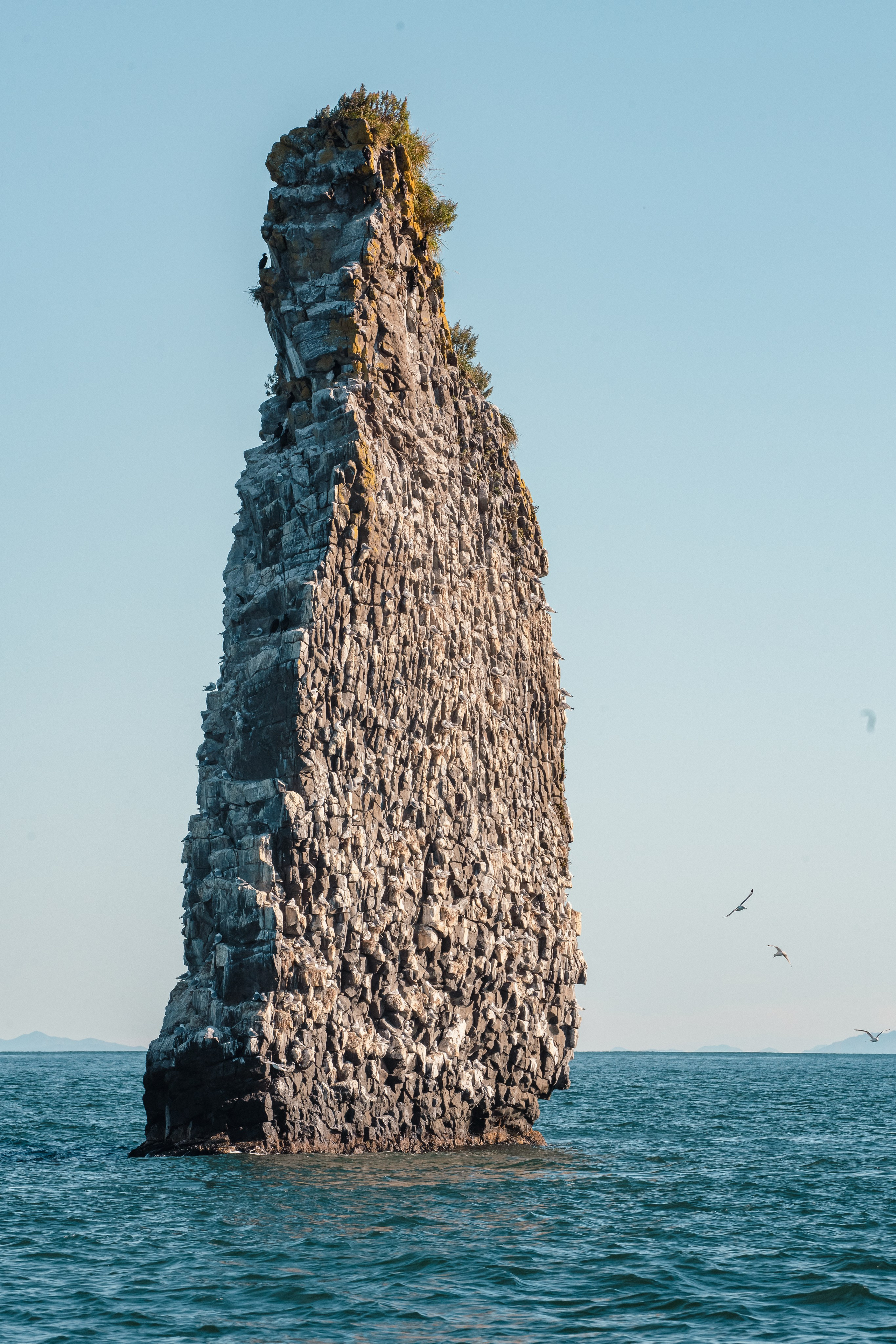 Природа. Людмила Москвичёва — Фотограф на все случаи жизни.Камчатка/Владивосток