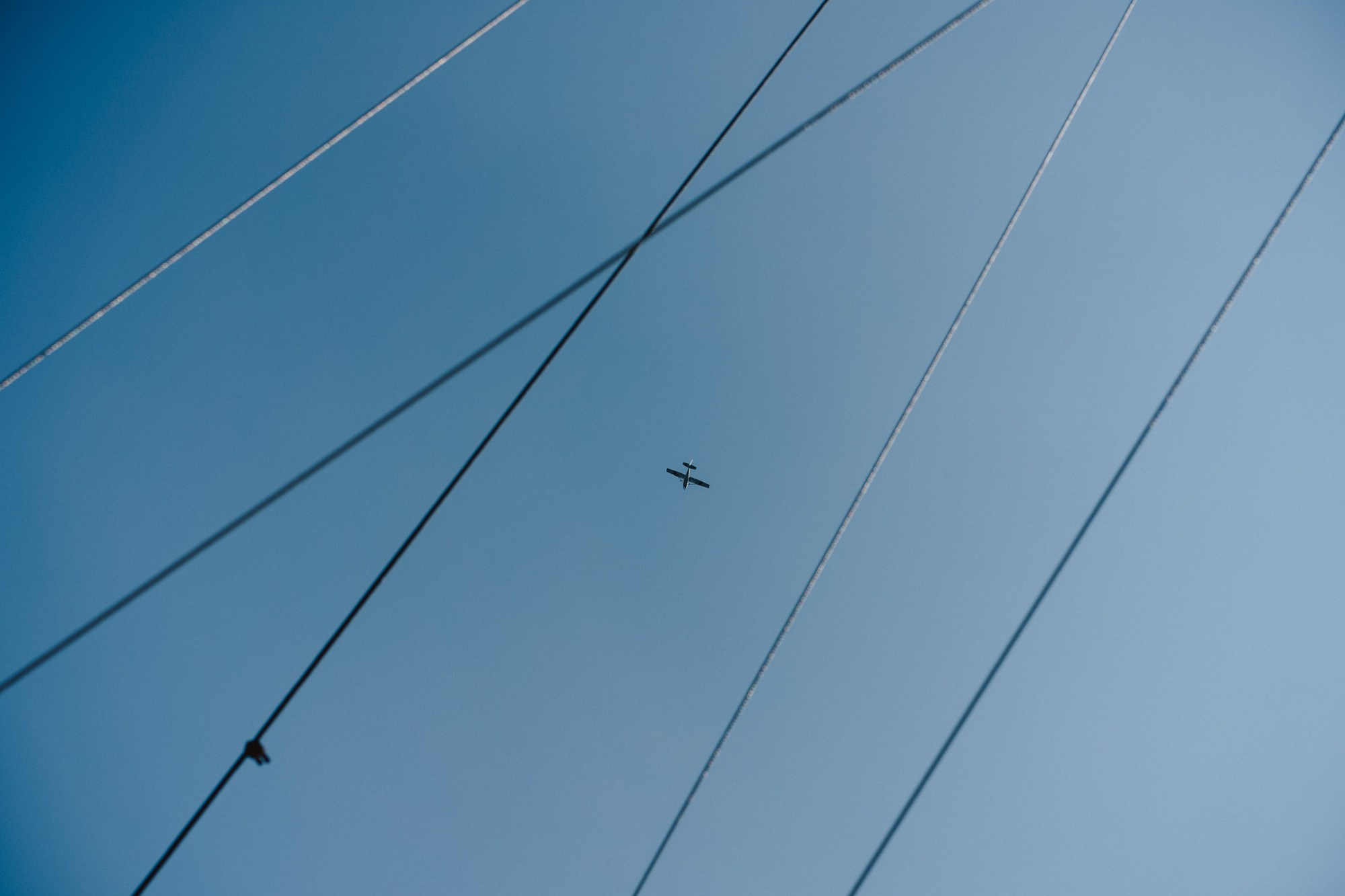 Specific Group Team Party. Photographer in Vilnius