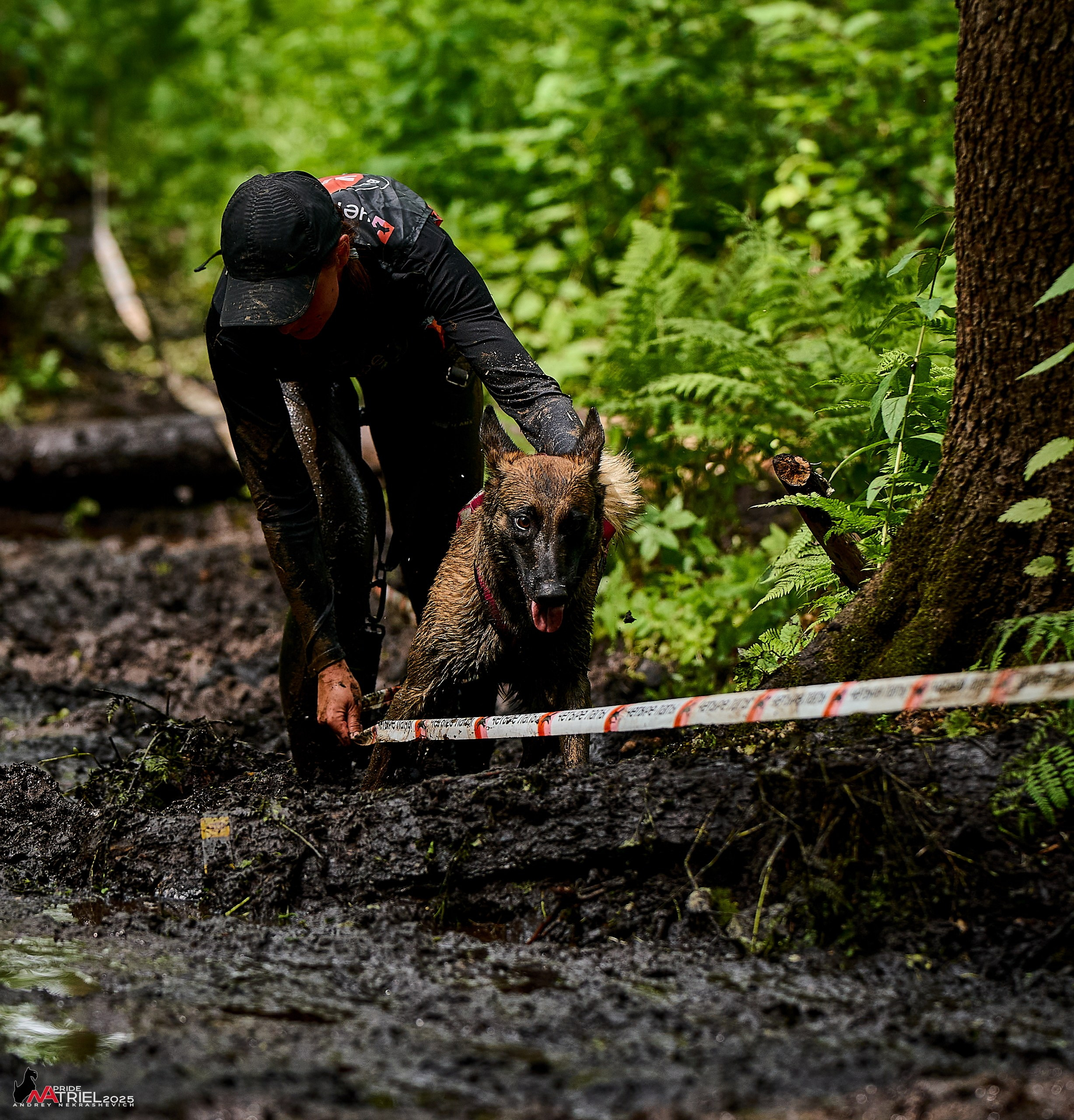 Russian Extreme Dog Trail — 2025