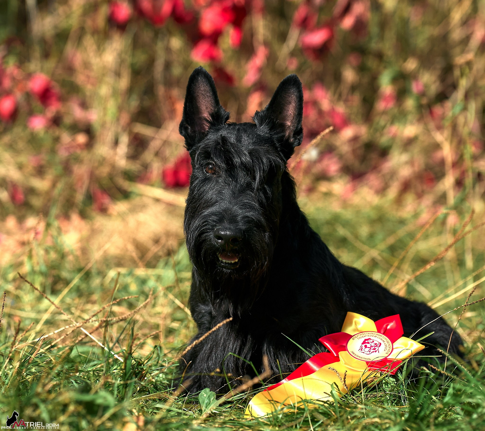 Съемка на выставке в Электросталь