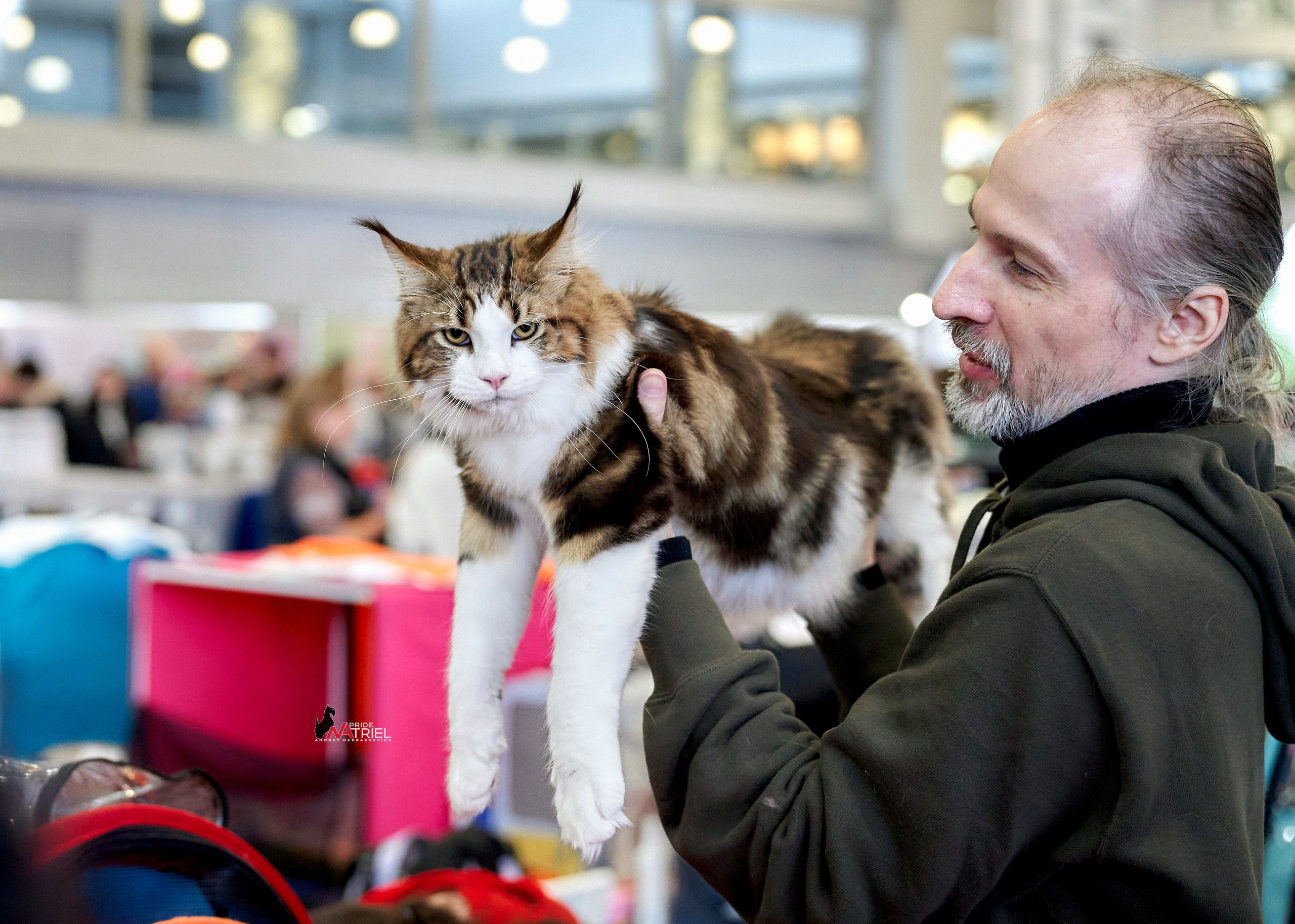 Выставки животных — галерея NATRIEL