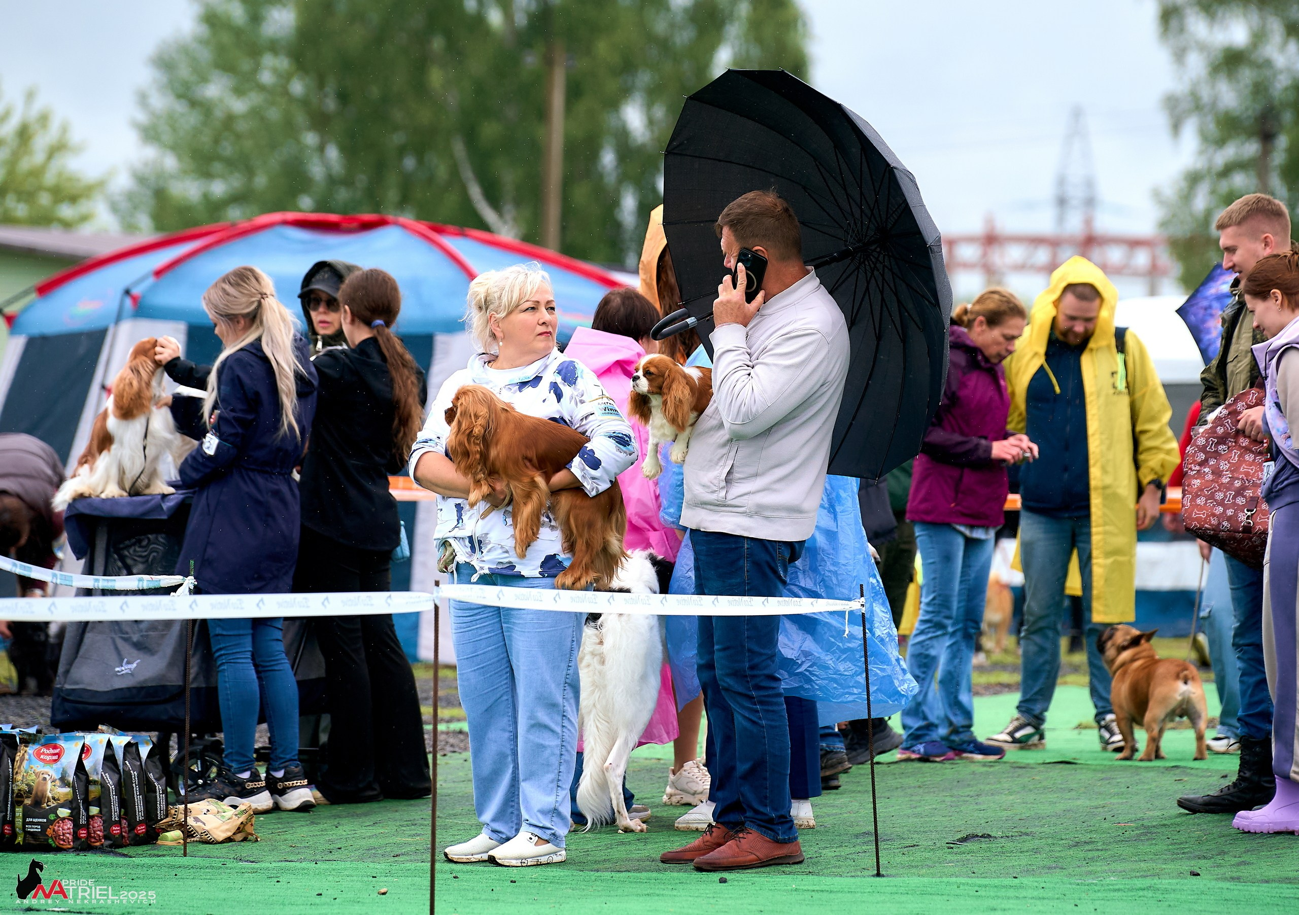 Репортаж с выставки собак