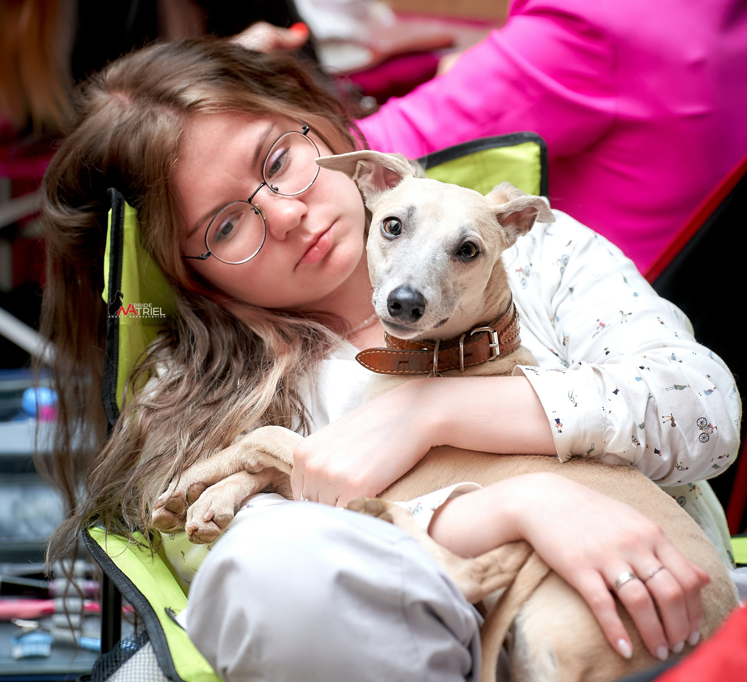 Собаки и Люди — галерея NATRIEL