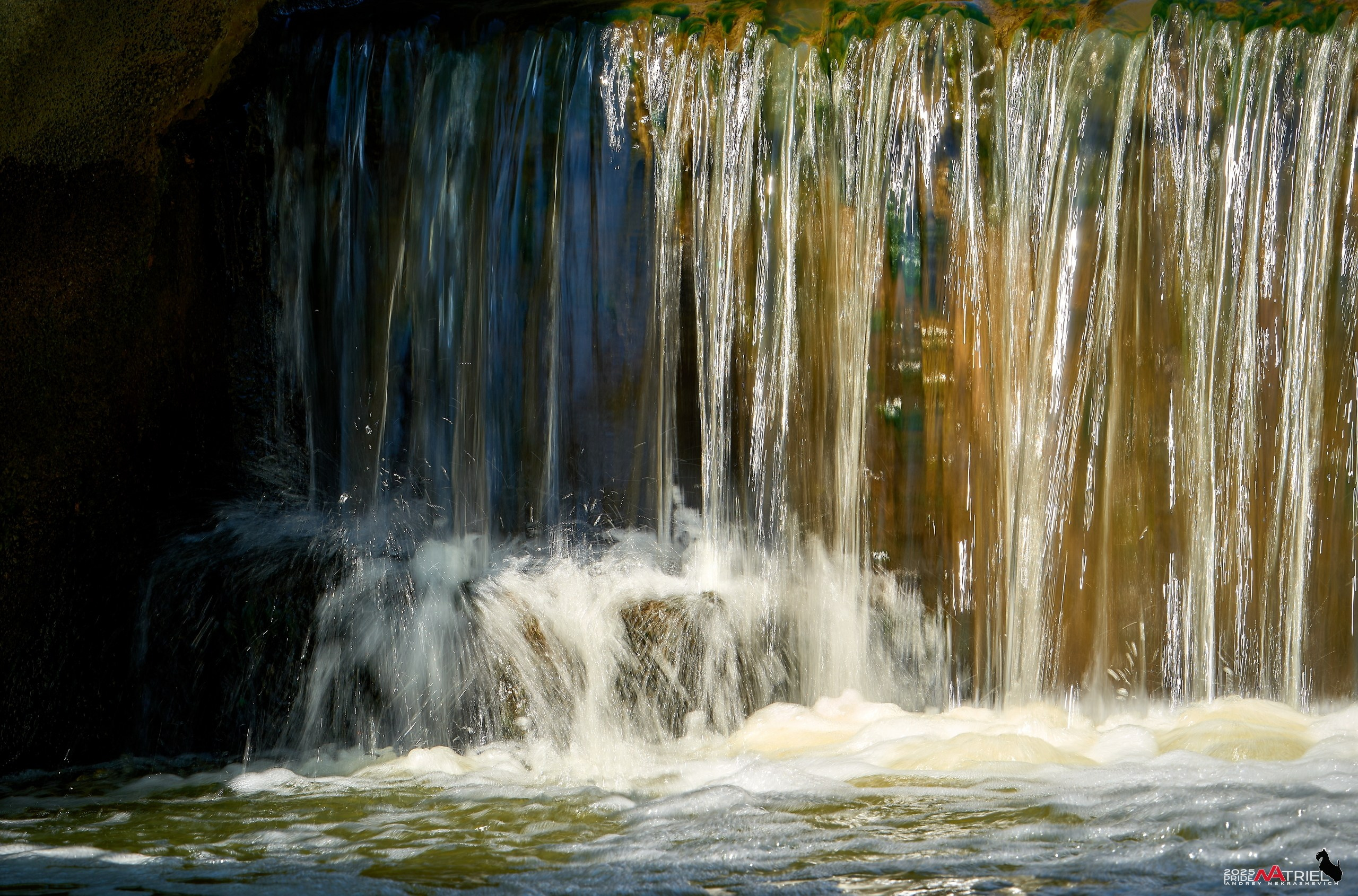 Птички и цветочки