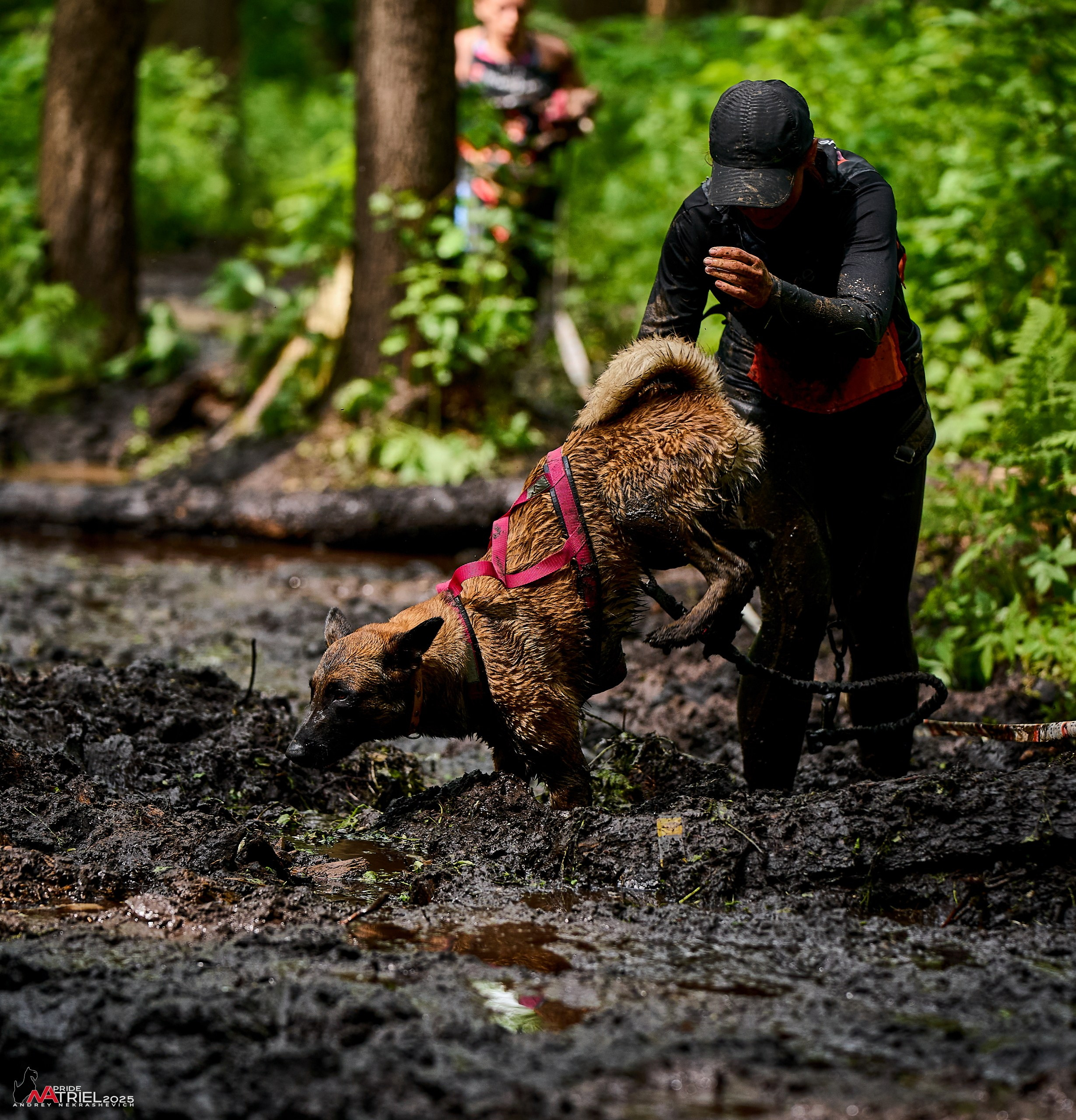 Russian Extreme Dog Trail — 2025