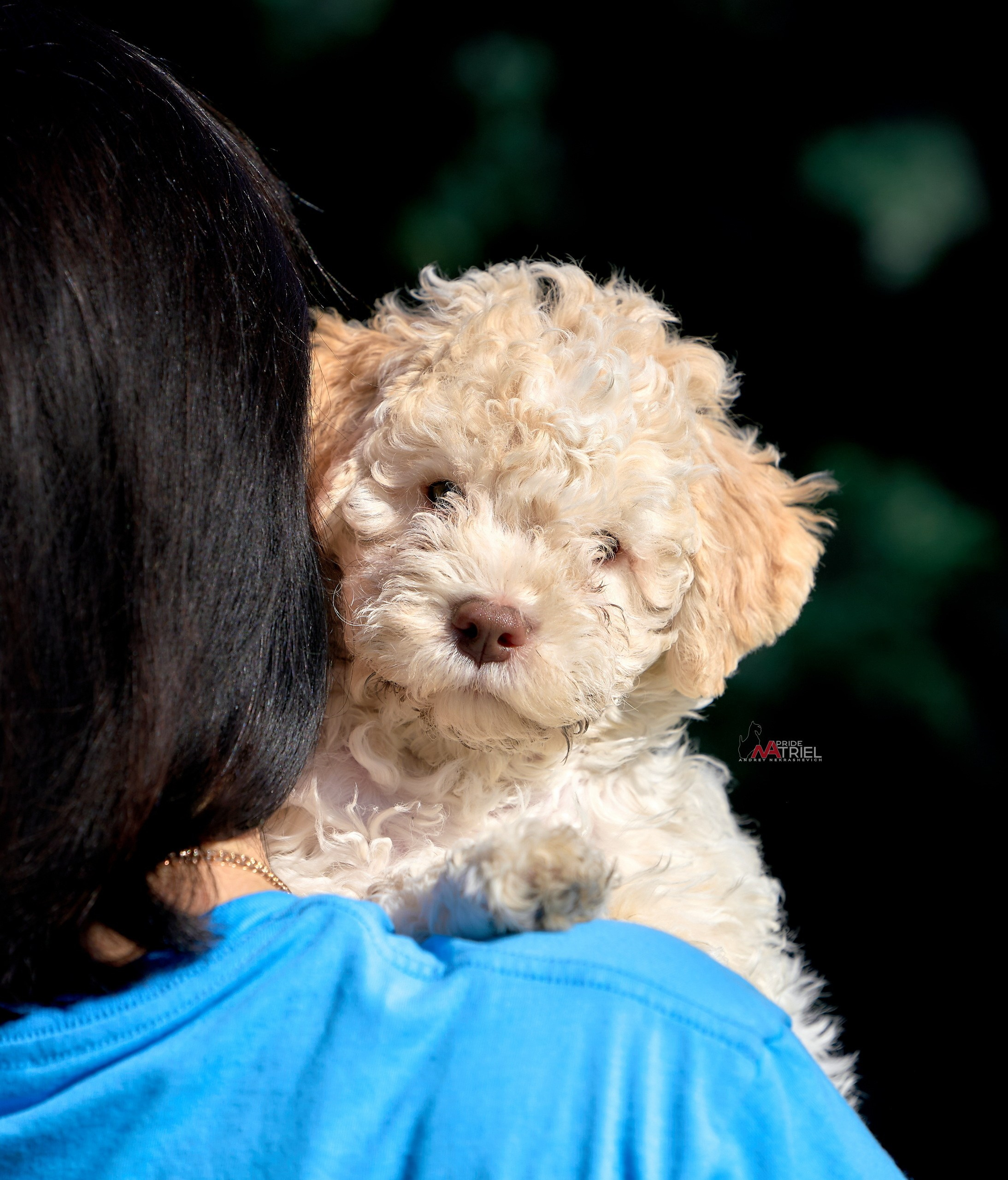 Щенки с людьми — галерея NATRIEL