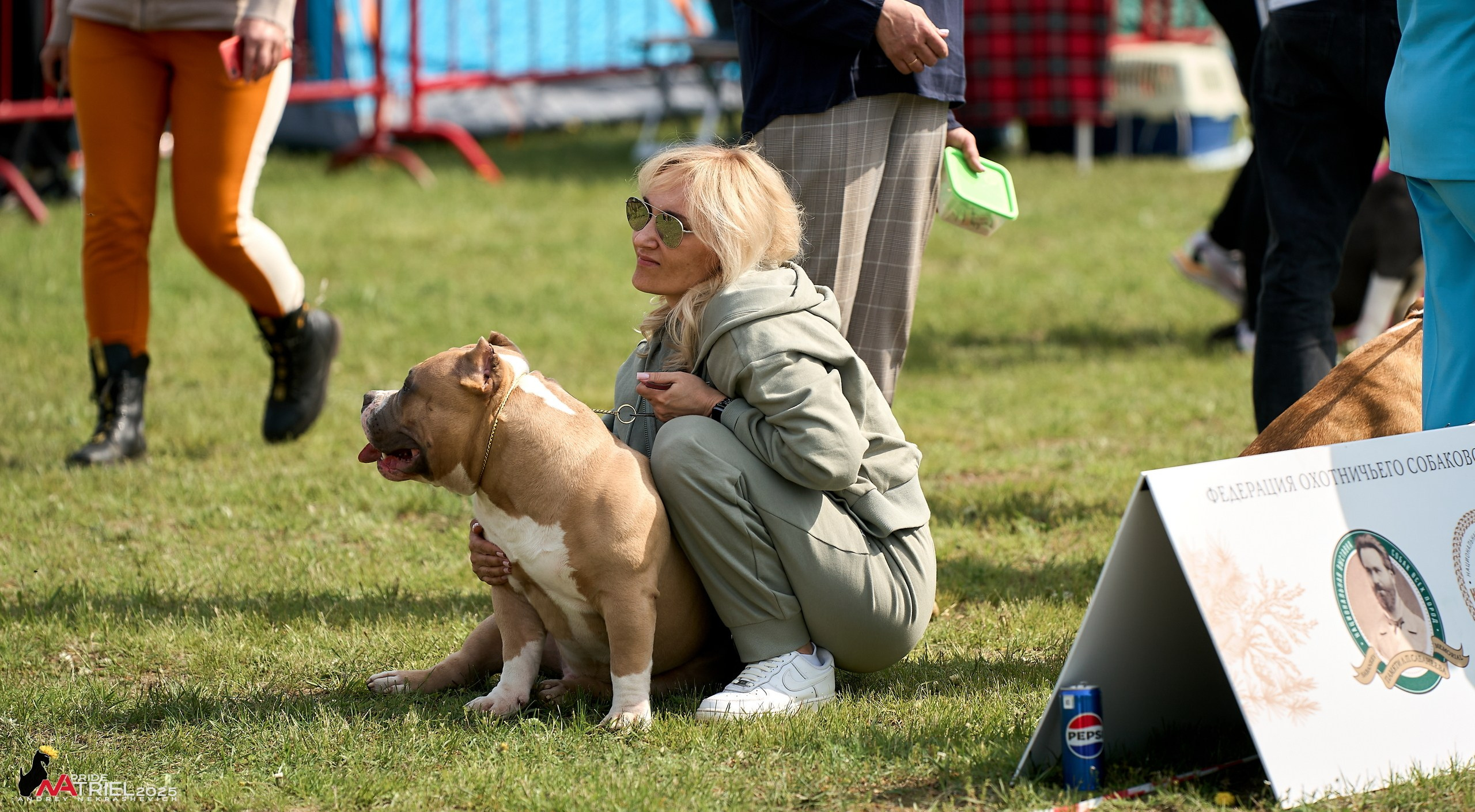 Выставка собак Суздаль-Владимир