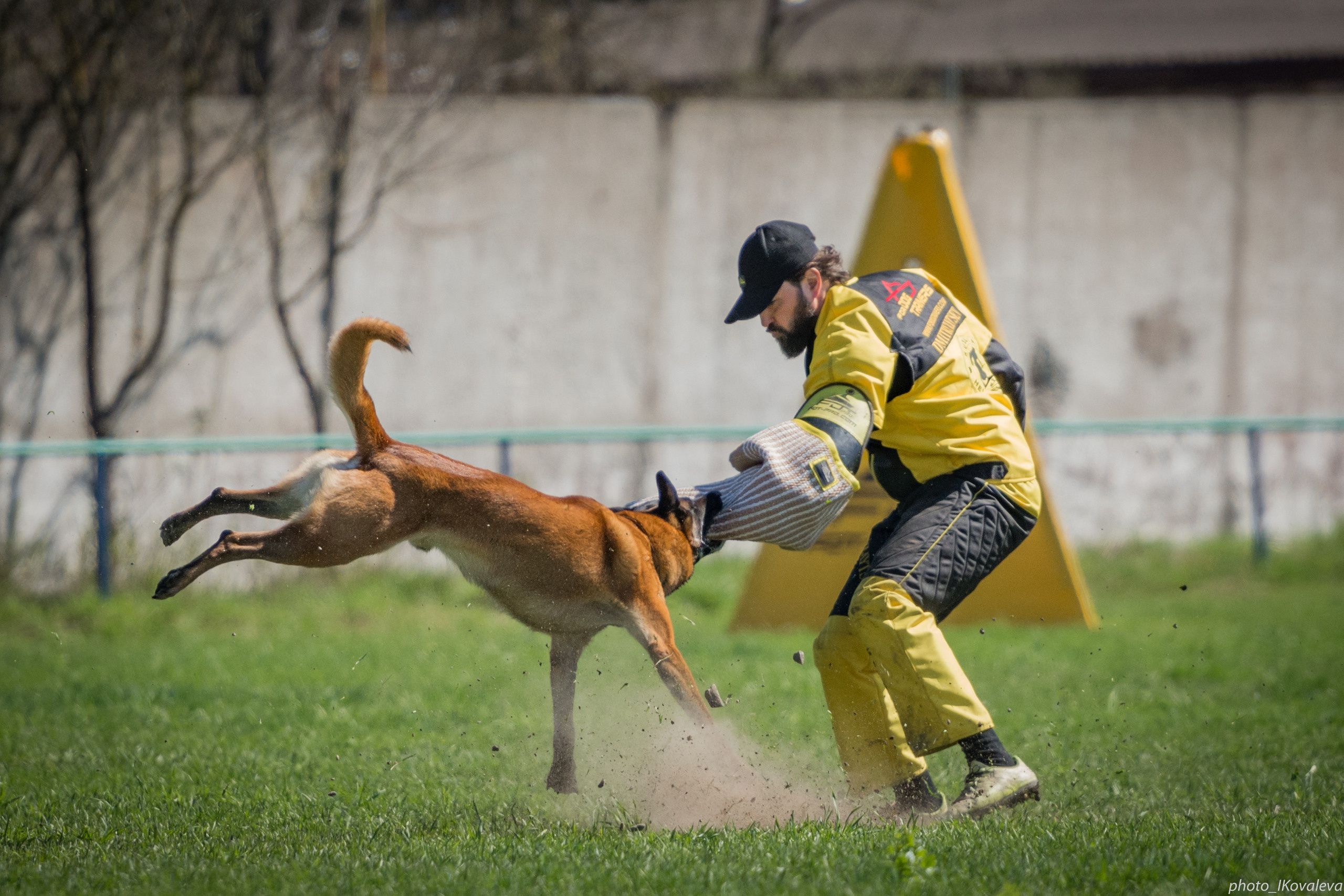 Фотограф анималист в Санкт-Петербурге Ирина Ковалева