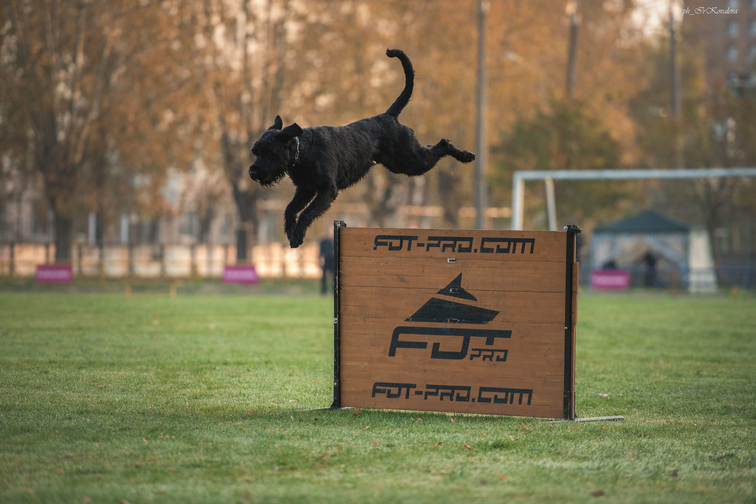 Фотограф анималист в Санкт-Петербурге Ирина Ковалева