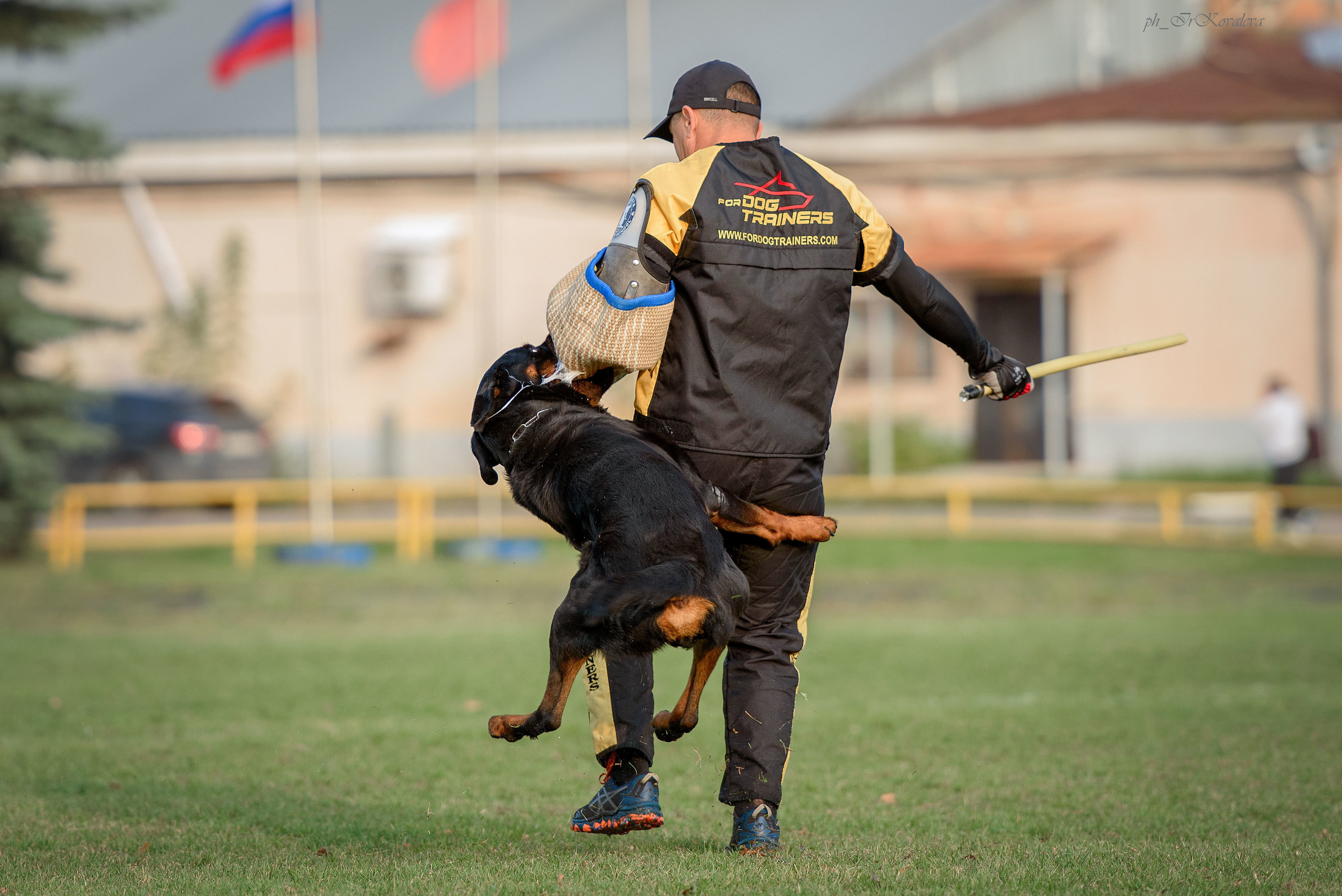 Фотограф анималист в Санкт-Петербурге Ирина Ковалева