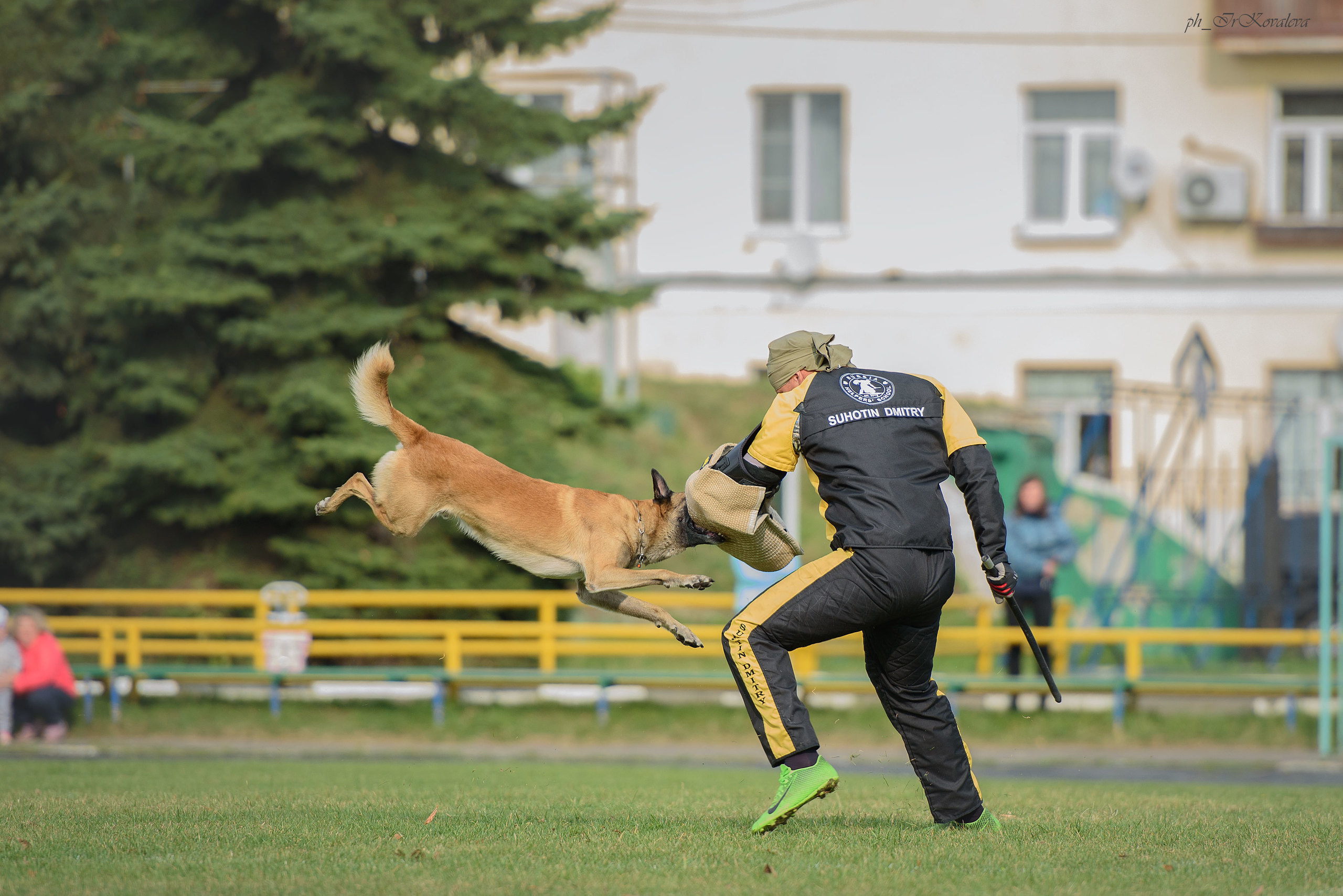 Фотограф анималист в Санкт-Петербурге Ирина Ковалева