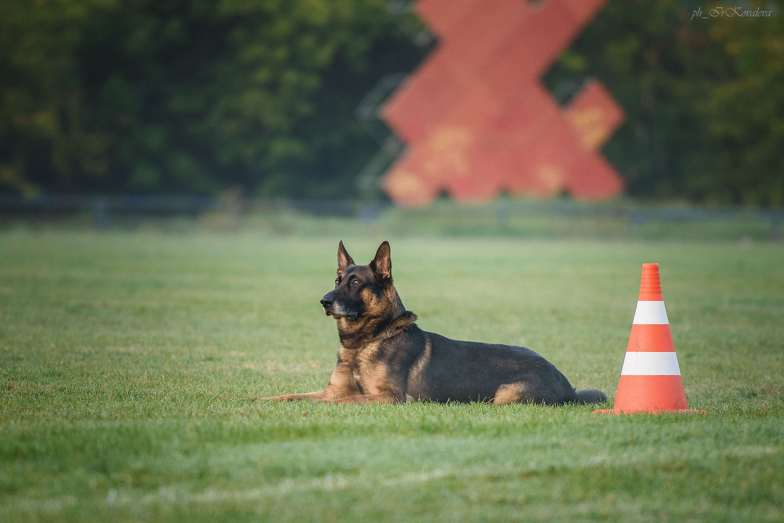 Фотограф анималист в Санкт-Петербурге Ирина Ковалева