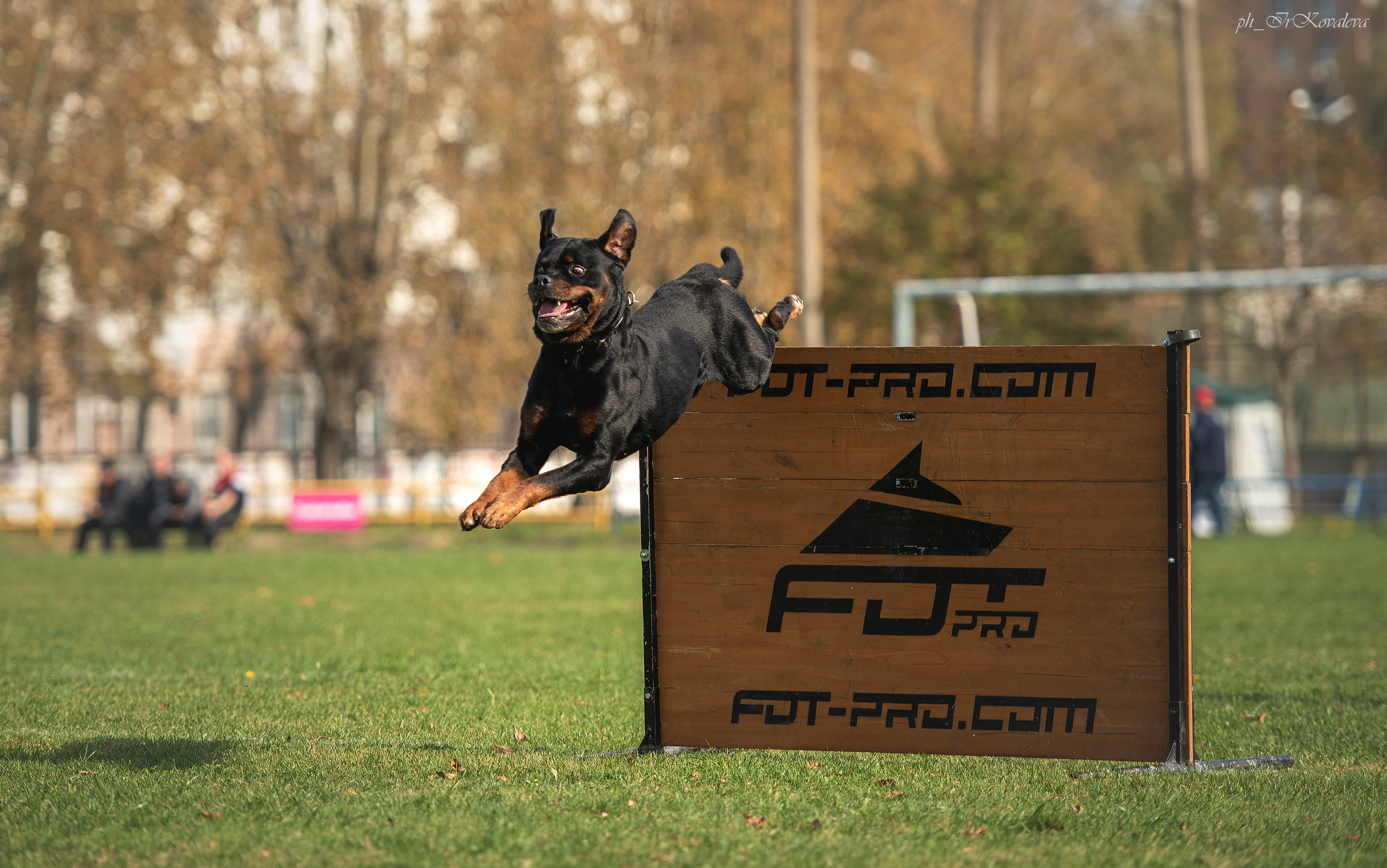 Фотограф анималист в Санкт-Петербурге Ирина Ковалева