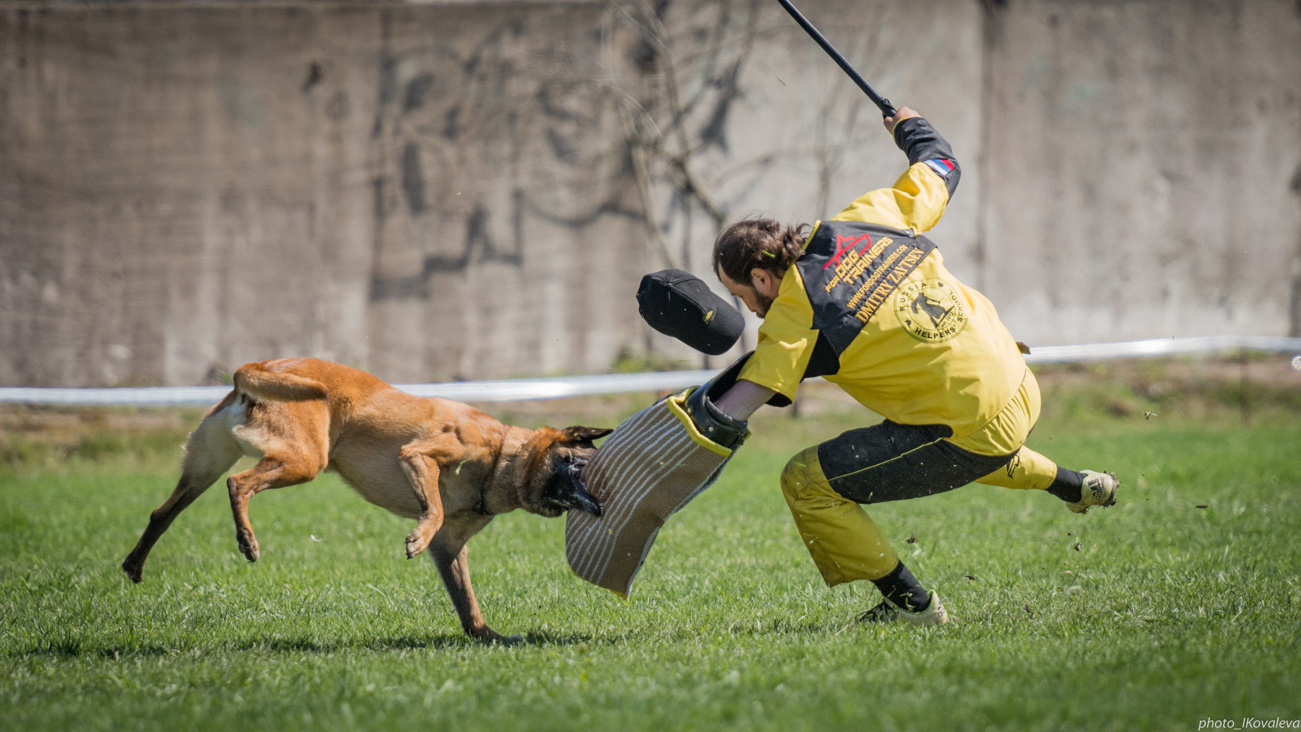 Фотограф анималист в Санкт-Петербурге Ирина Ковалева
