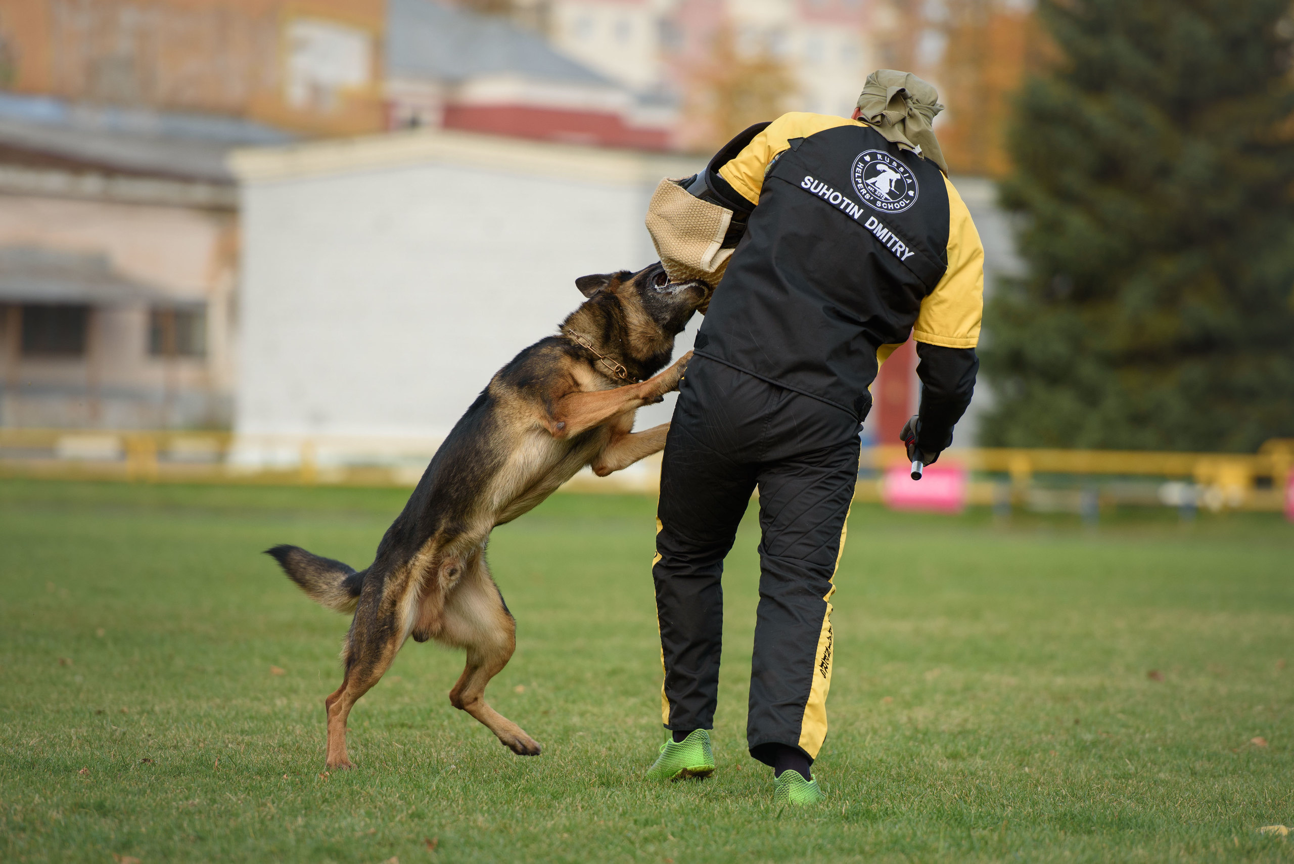 Фотограф анималист в Санкт-Петербурге Ирина Ковалева