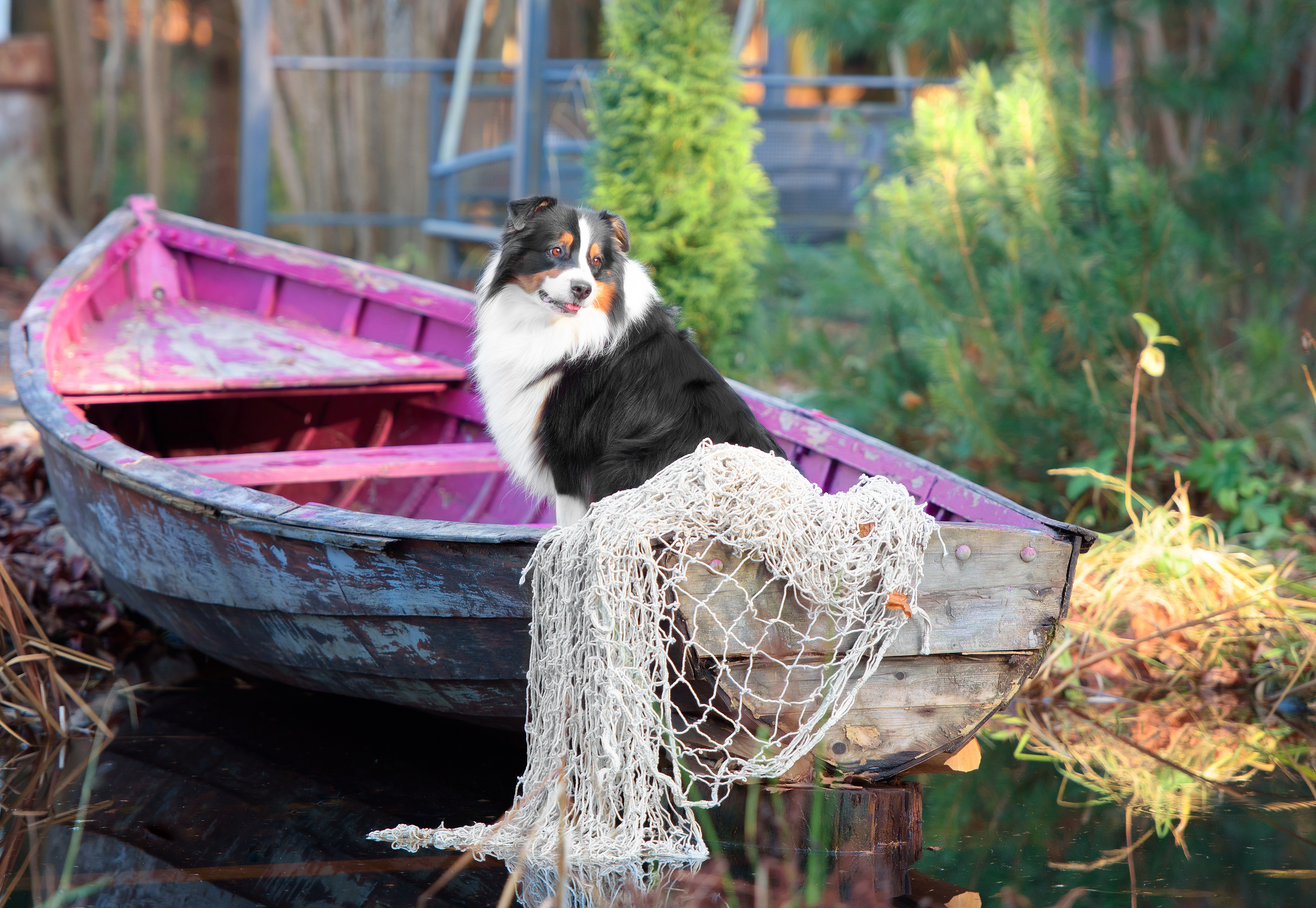 Фотограф анималист в Санкт-Петербурге Ирина Ковалева