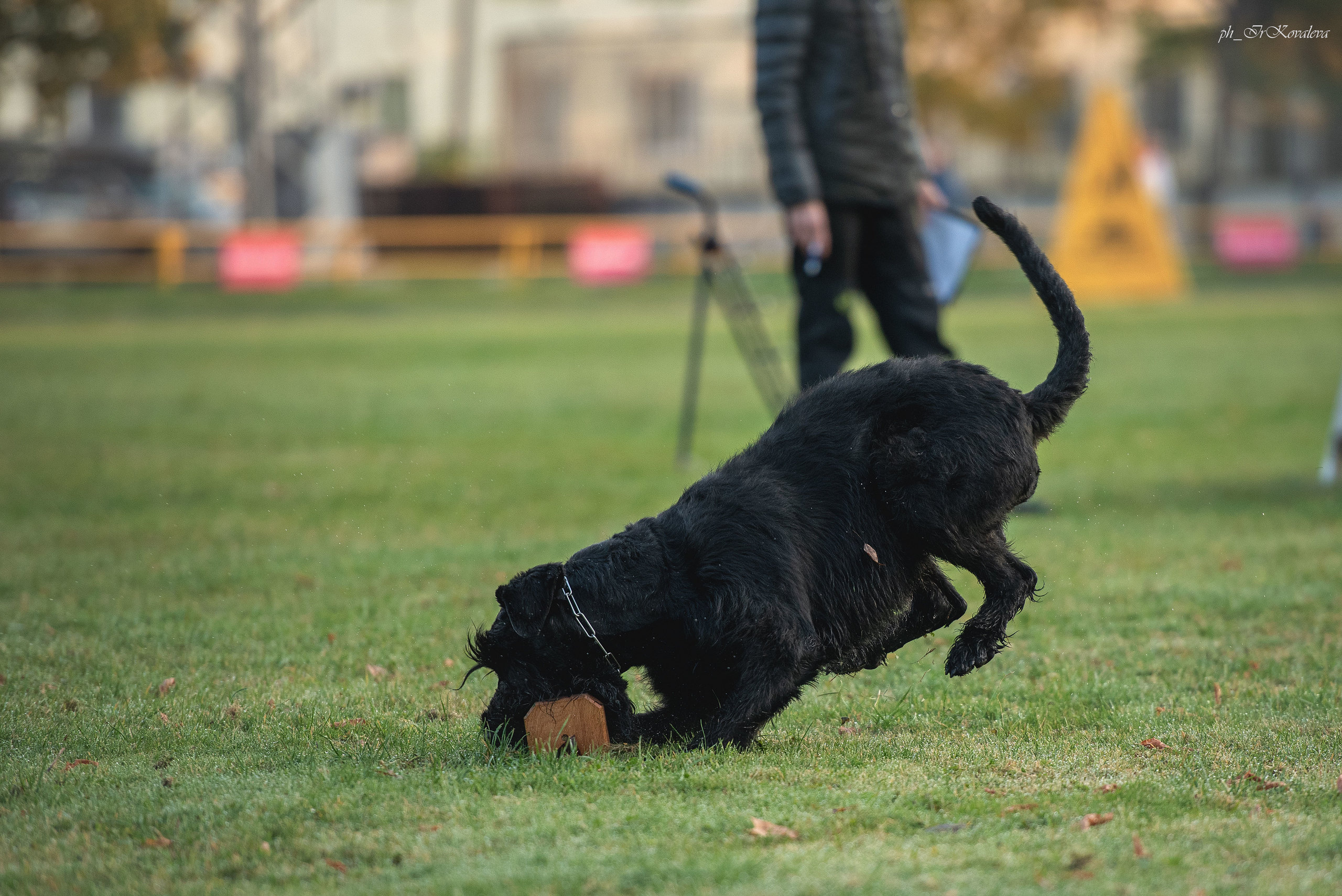 Фотограф анималист в Санкт-Петербурге Ирина Ковалева