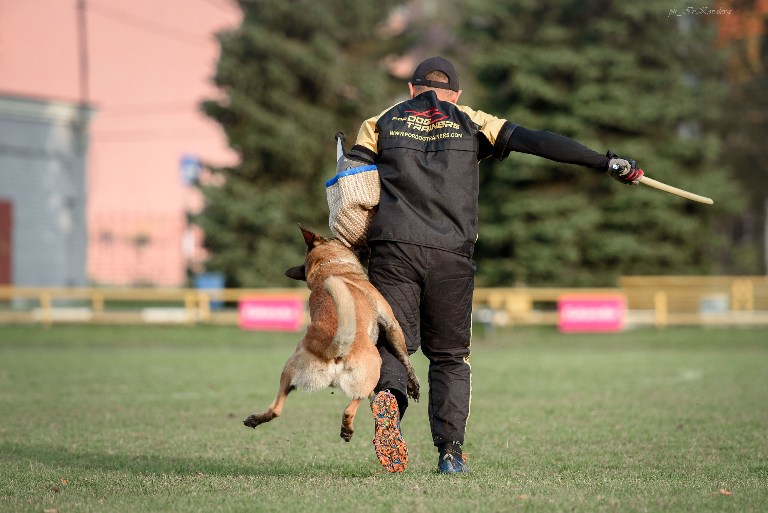 Фотограф анималист в Санкт-Петербурге Ирина Ковалева