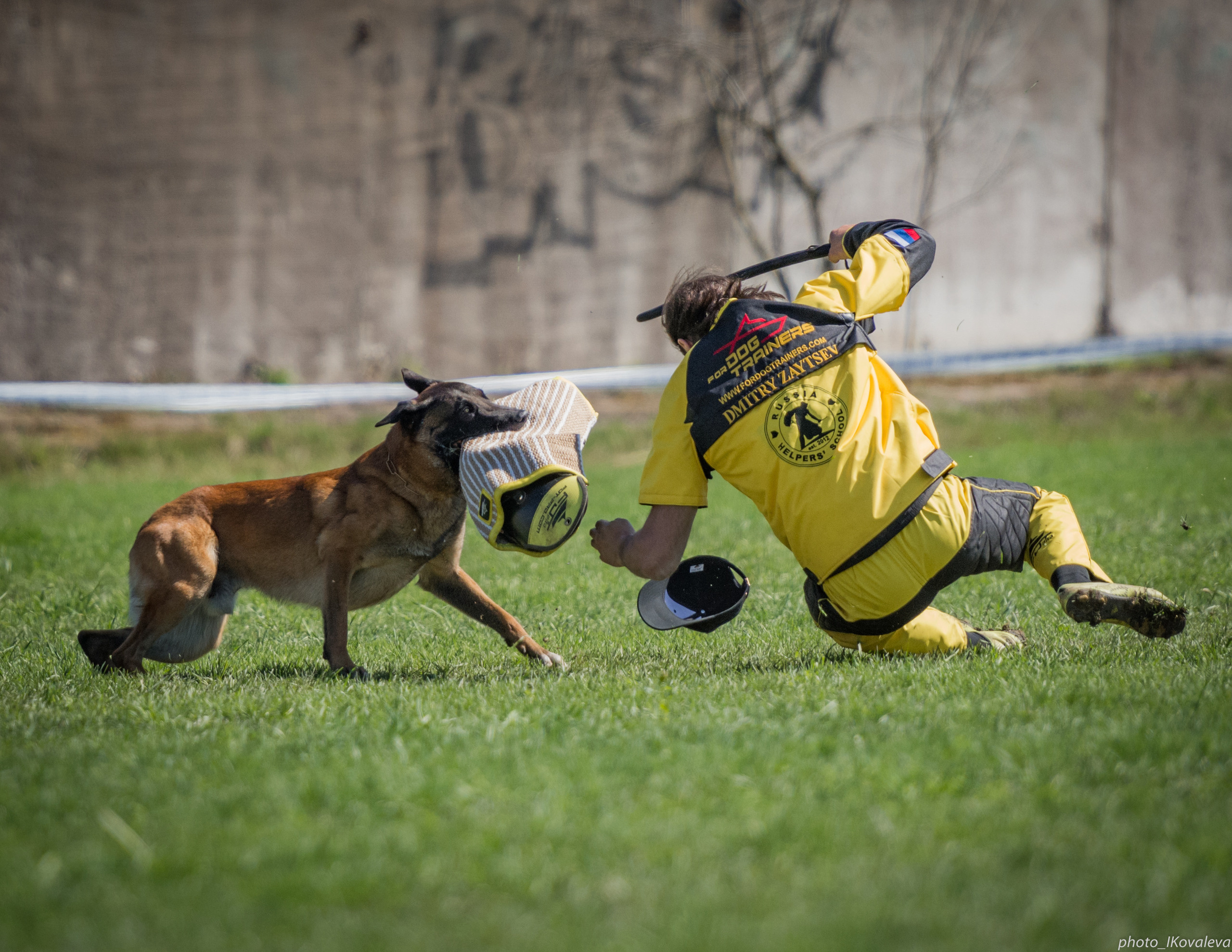 Фотограф анималист в Санкт-Петербурге Ирина Ковалева
