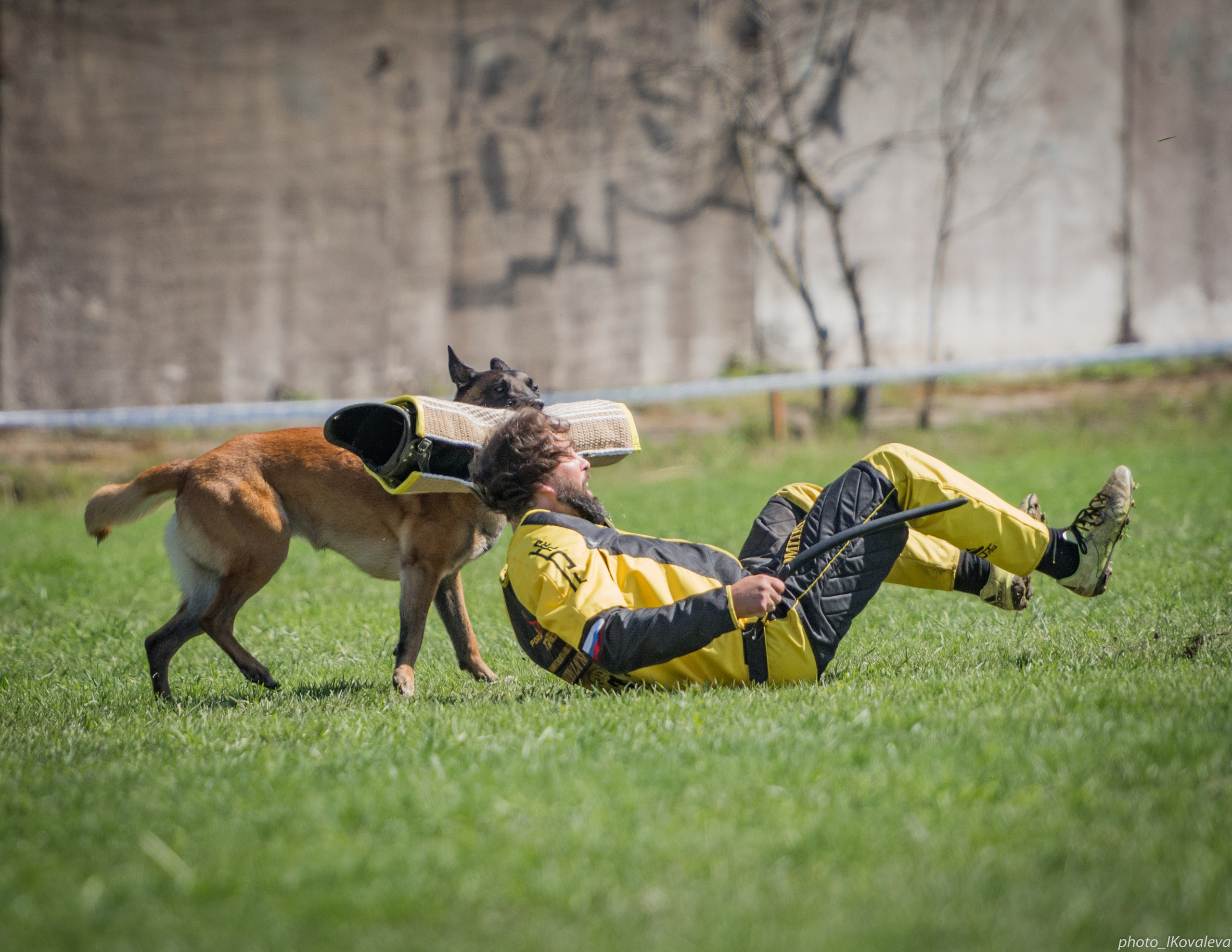 Фотограф анималист в Санкт-Петербурге Ирина Ковалева
