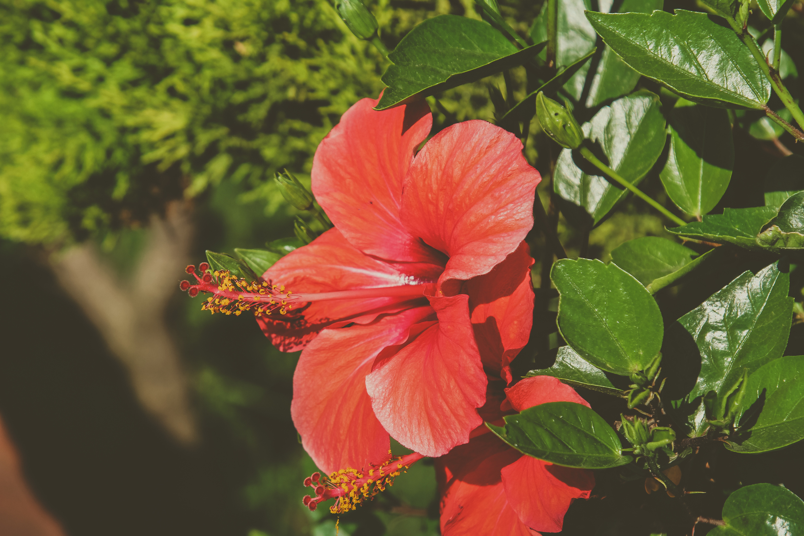 Мармарис. Photographer Sonkina Tatiana (Tanya Ash)