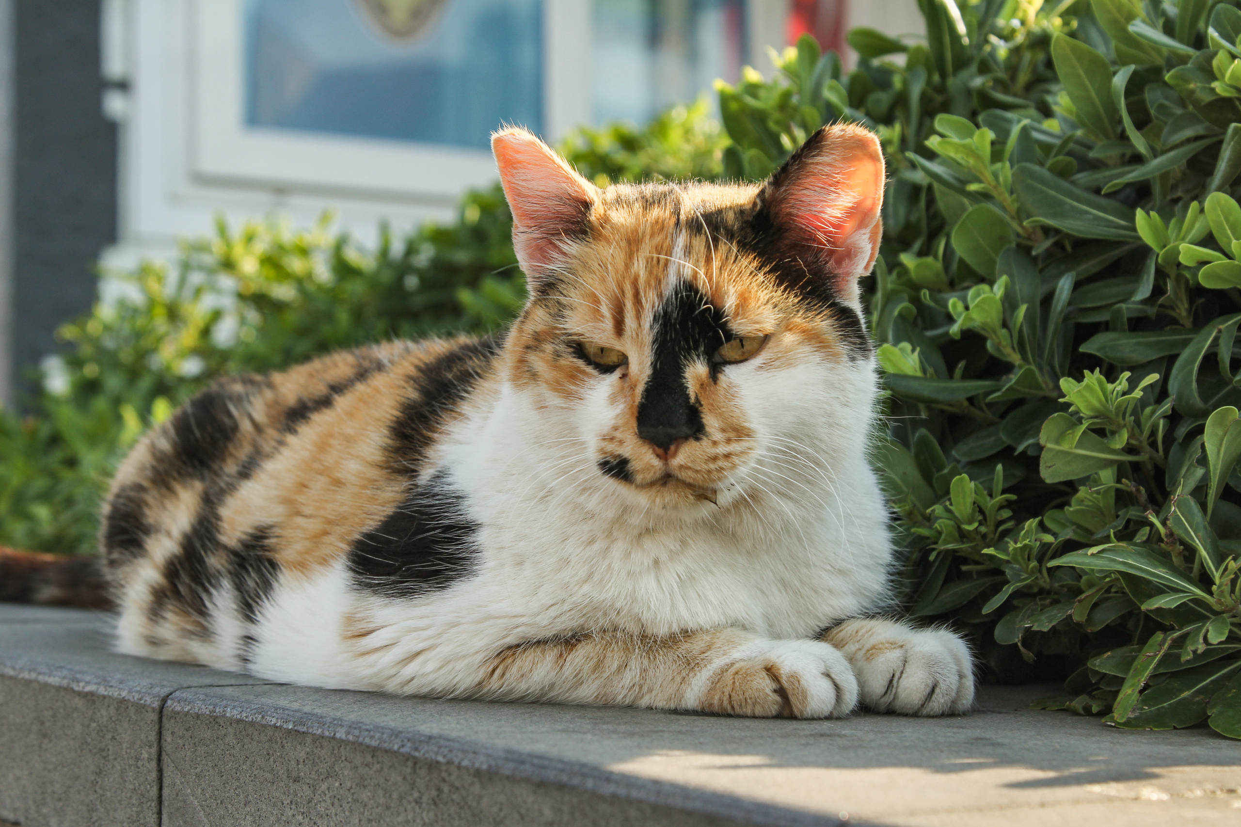 Мармарис. Photographer Sonkina Tatiana (Tanya Ash)