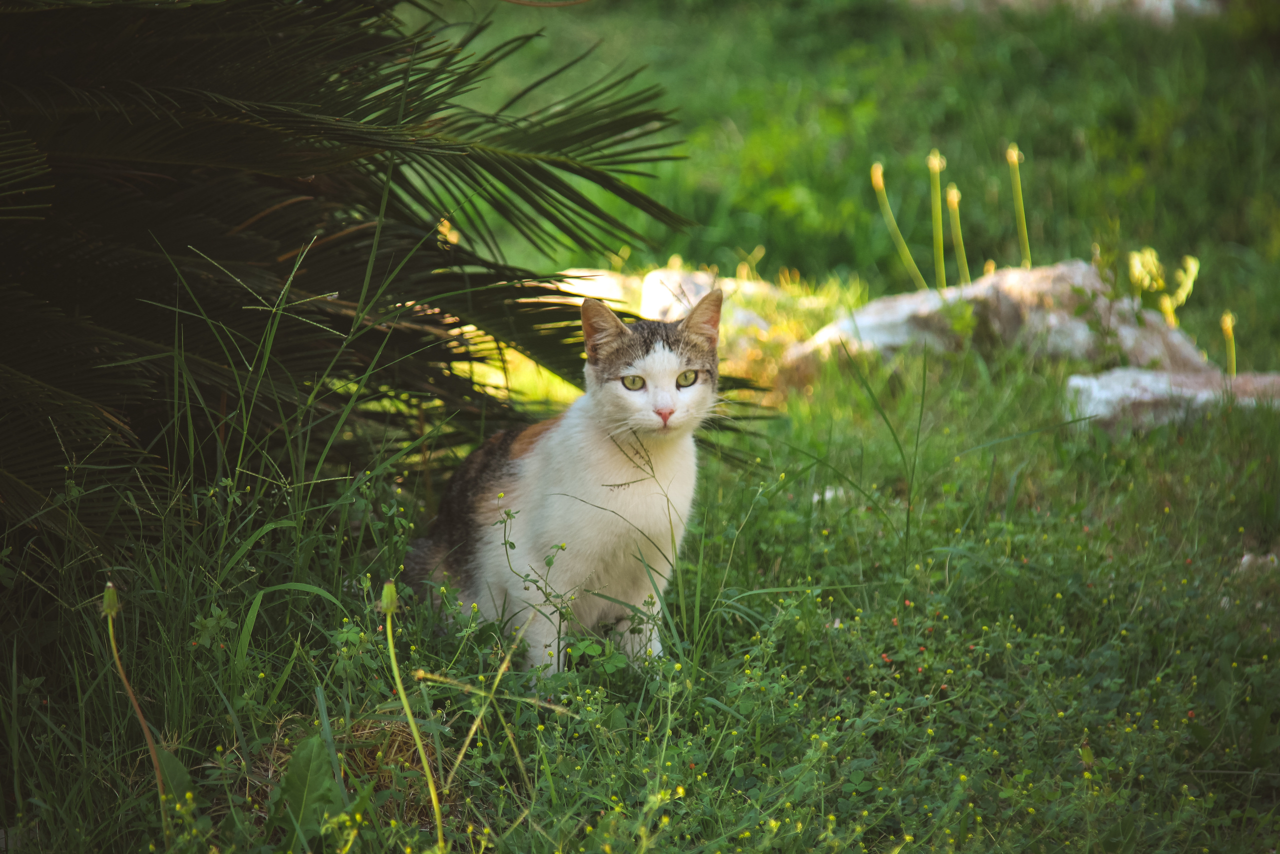 Мармарис. Photographer Sonkina Tatiana (Tanya Ash)