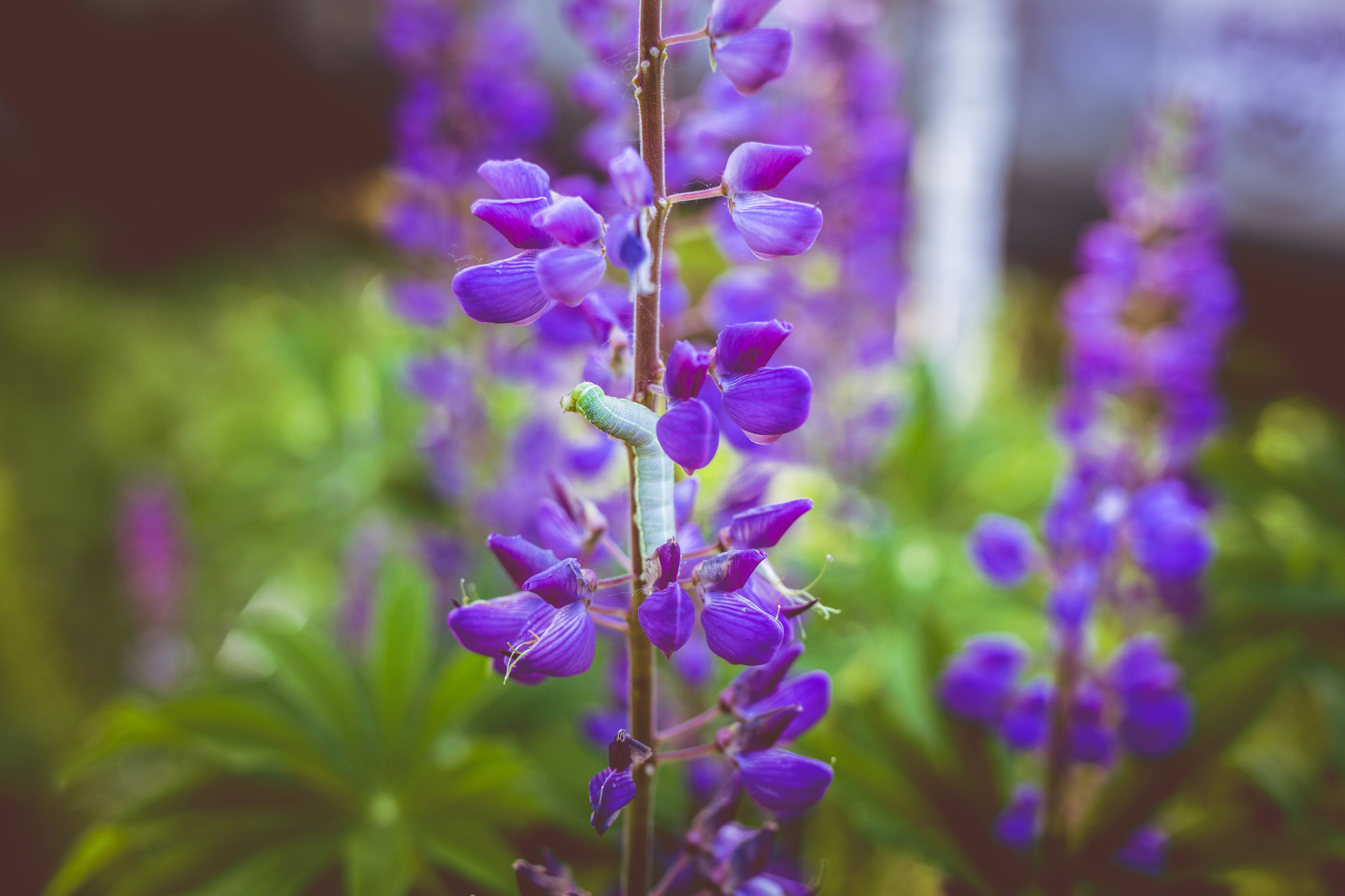 Коллекция пейзажных фотографий. Photographer Sonkina Tatiana (Tanya Ash)