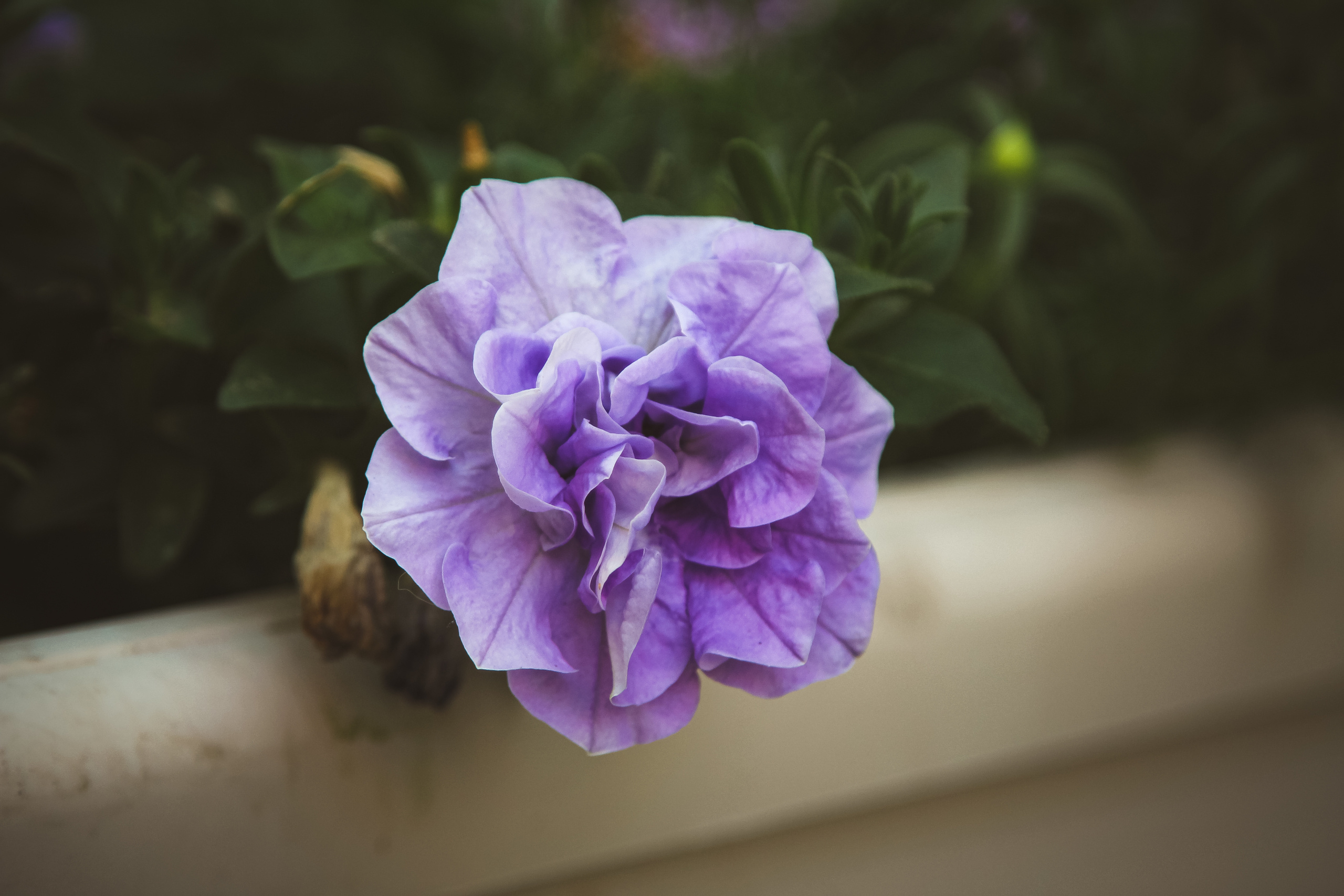 Мармарис. Photographer Sonkina Tatiana (Tanya Ash)