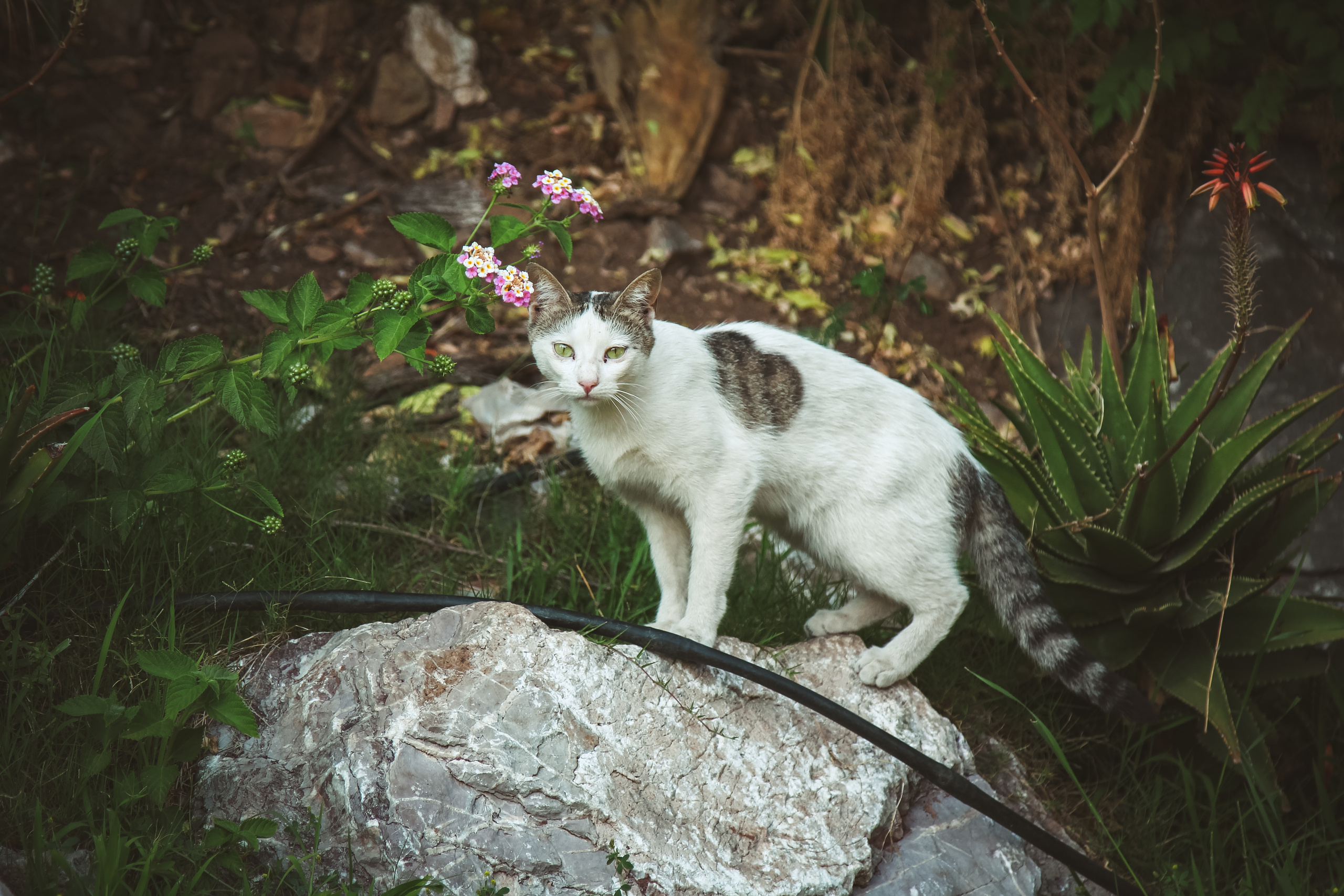 Мармарис. Photographer Sonkina Tatiana (Tanya Ash)