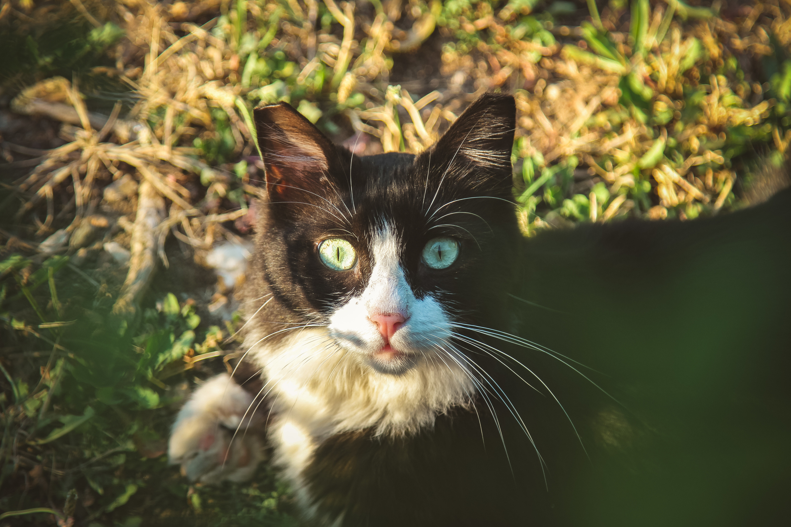 Мармарис. Photographer Sonkina Tatiana (Tanya Ash)