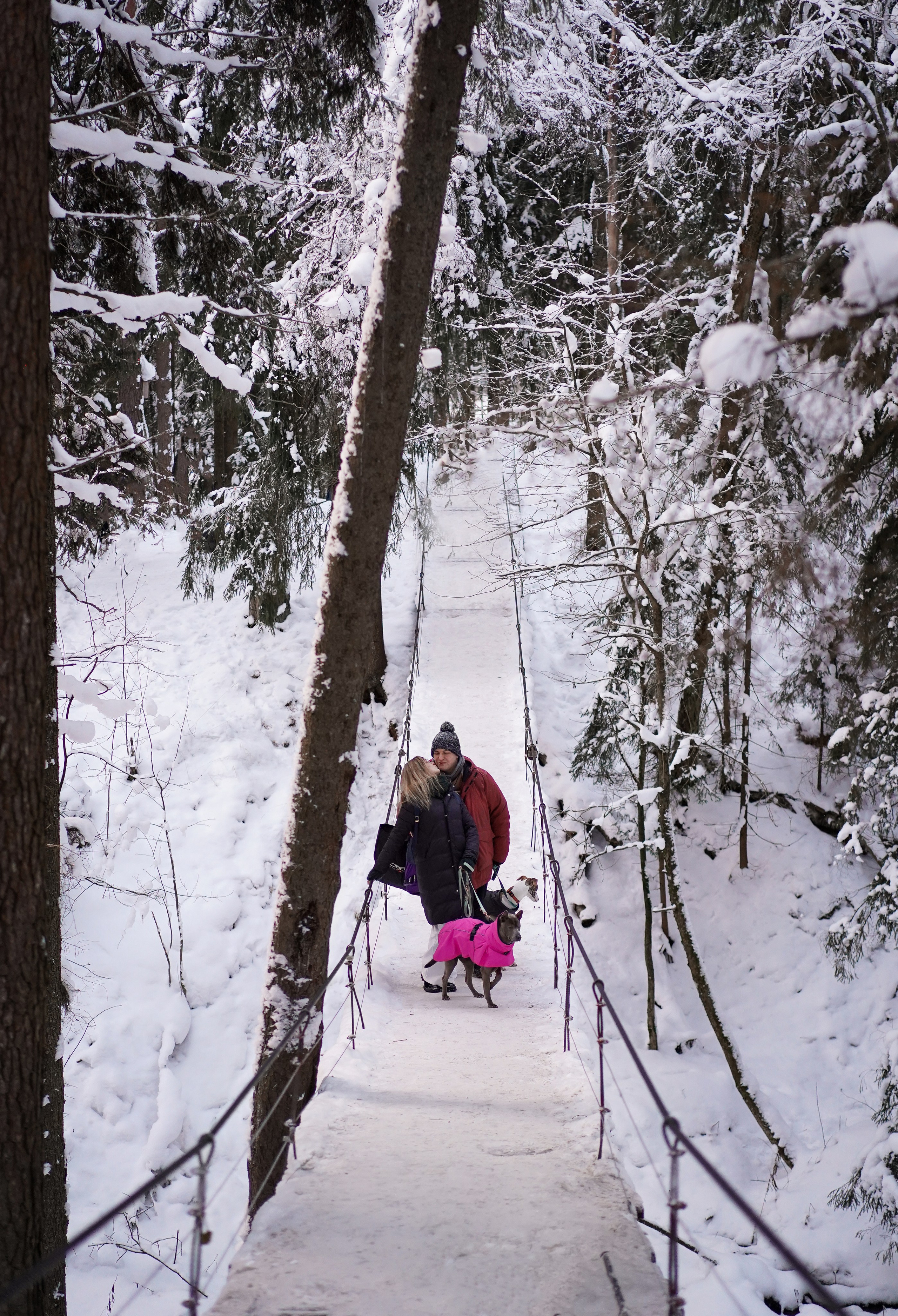 Даша Илья Вениамина и Мэдиссон. Фотограф-анималист в Санкт-Петербурге Яна Мартынова