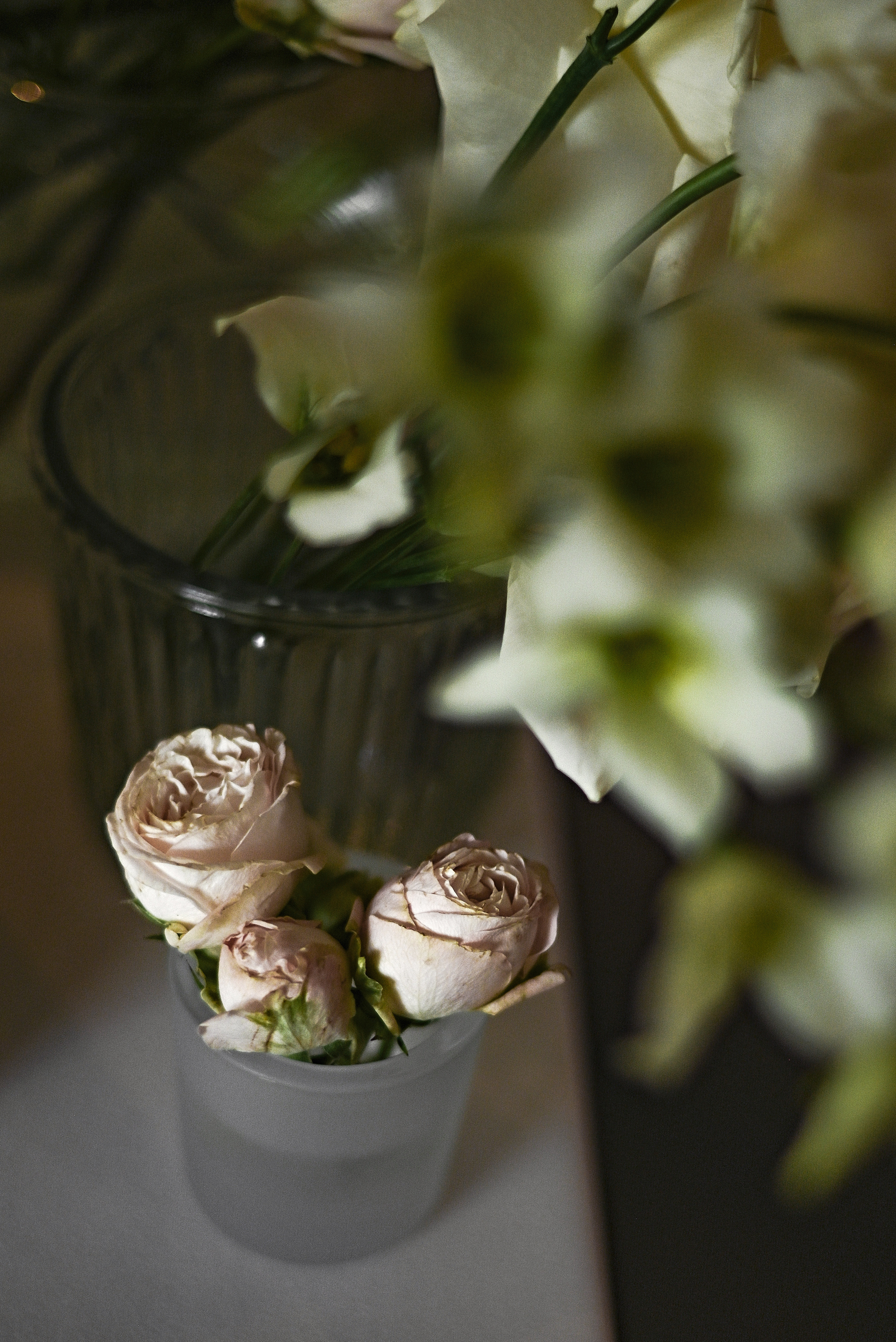 Монохром. Свадебный и семейный фотограф в Новосибирске, Санкт-Петербурге, Москве