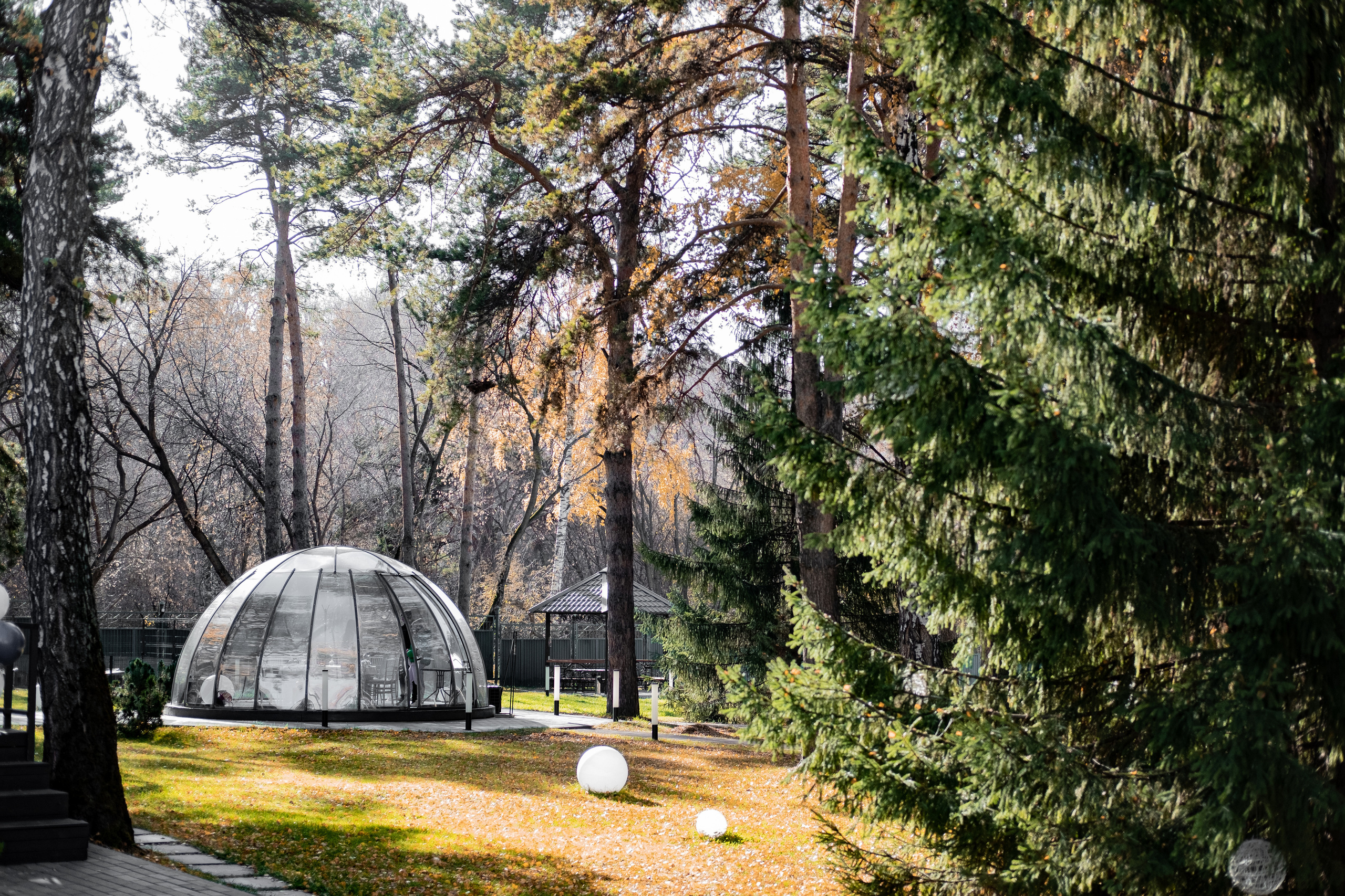 Сладкий октябрь. Свадебный и семейный фотограф в Новосибирске, Санкт-Петербурге, Москве