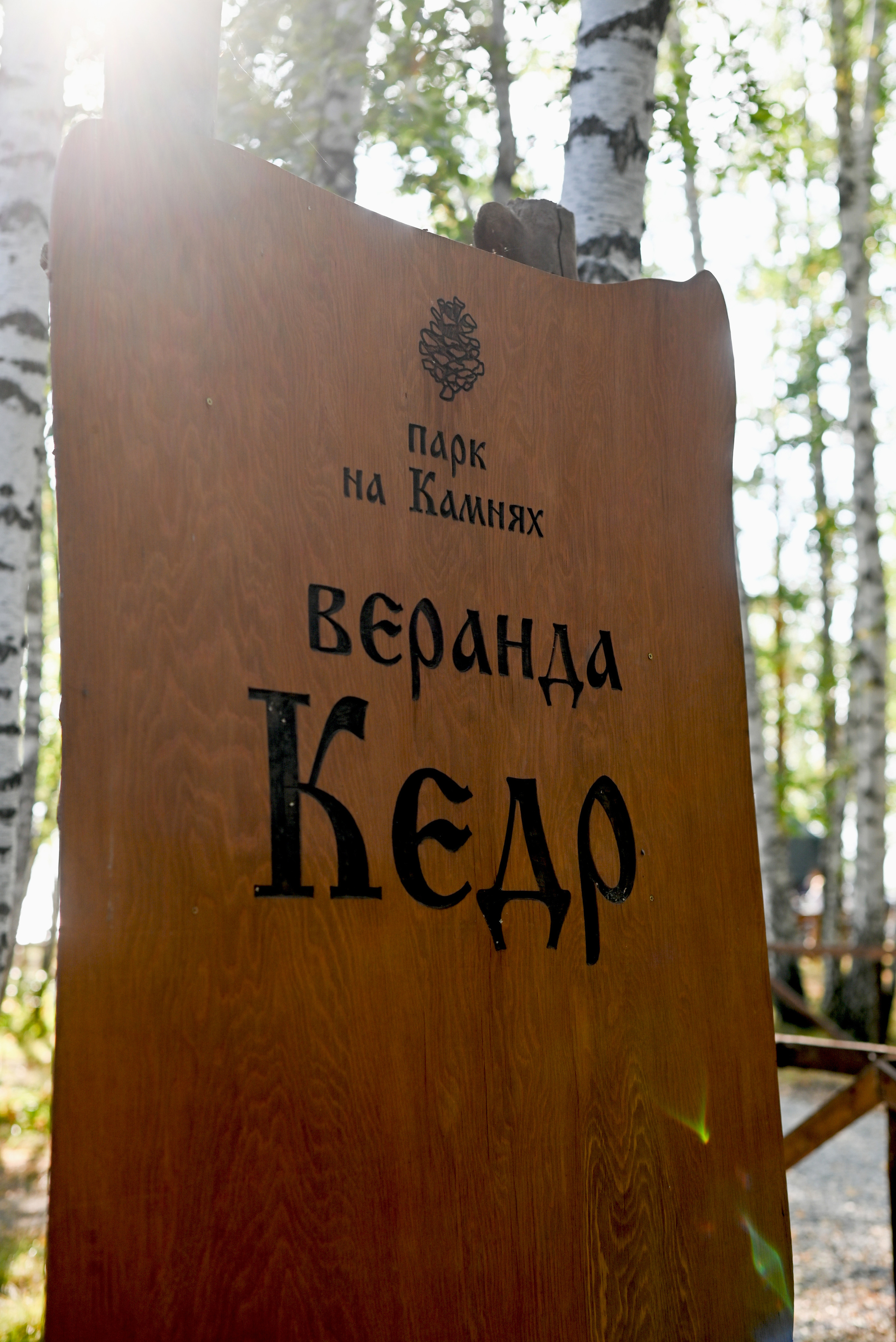 3 сентября. Свадебный и семейный фотограф в Новосибирске, Санкт-Петербурге, Москве