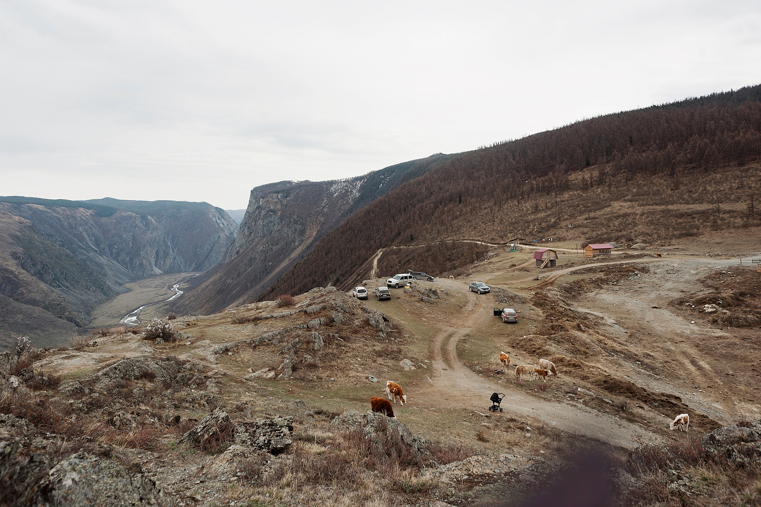 Whispering mountains. Свадебный и семейный фотограф в Новосибирске, Санкт-Петербурге, Москве