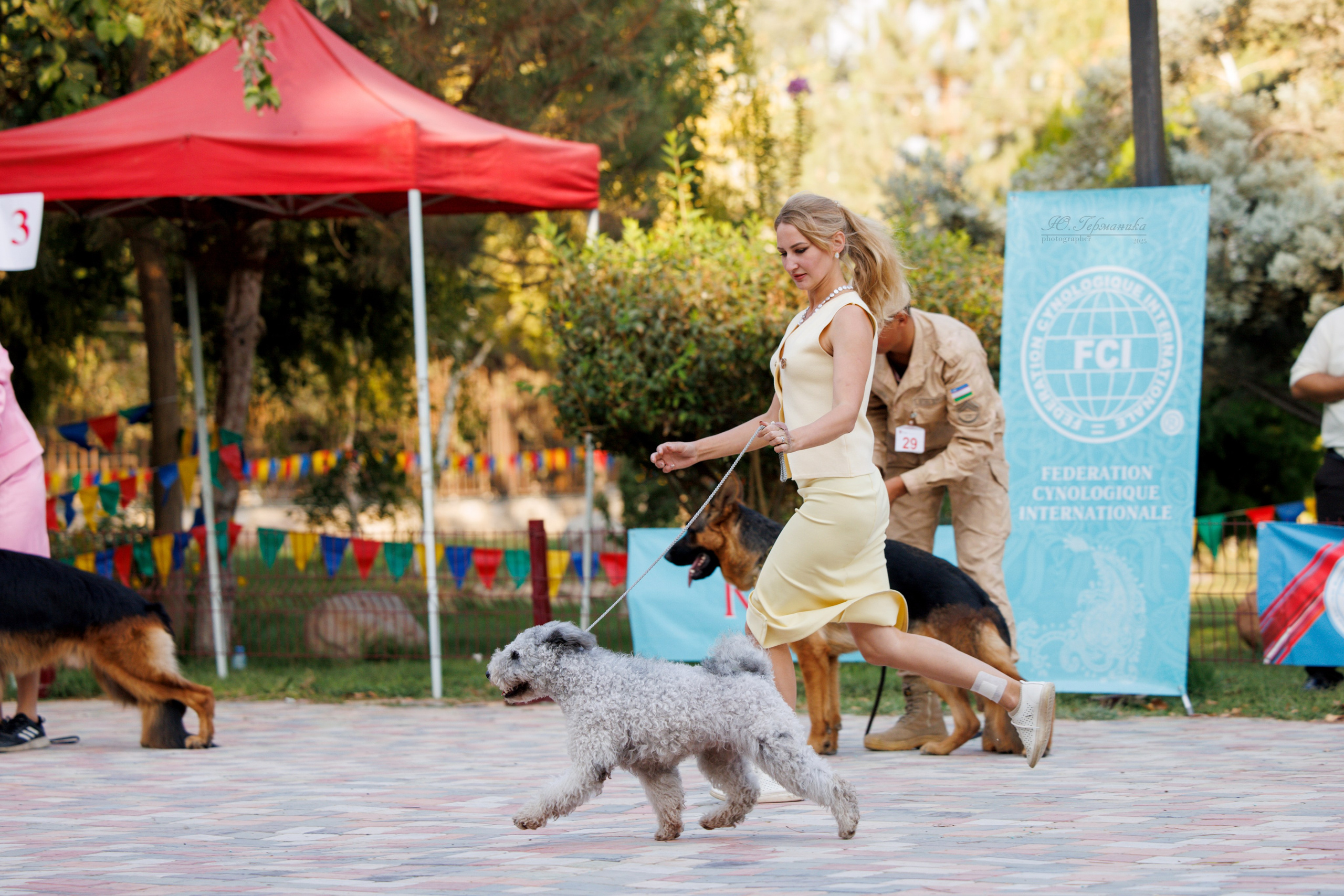 Ташкент 3хCACIB 3-5.10.2025. Фотограф-анималист Юлия Германика