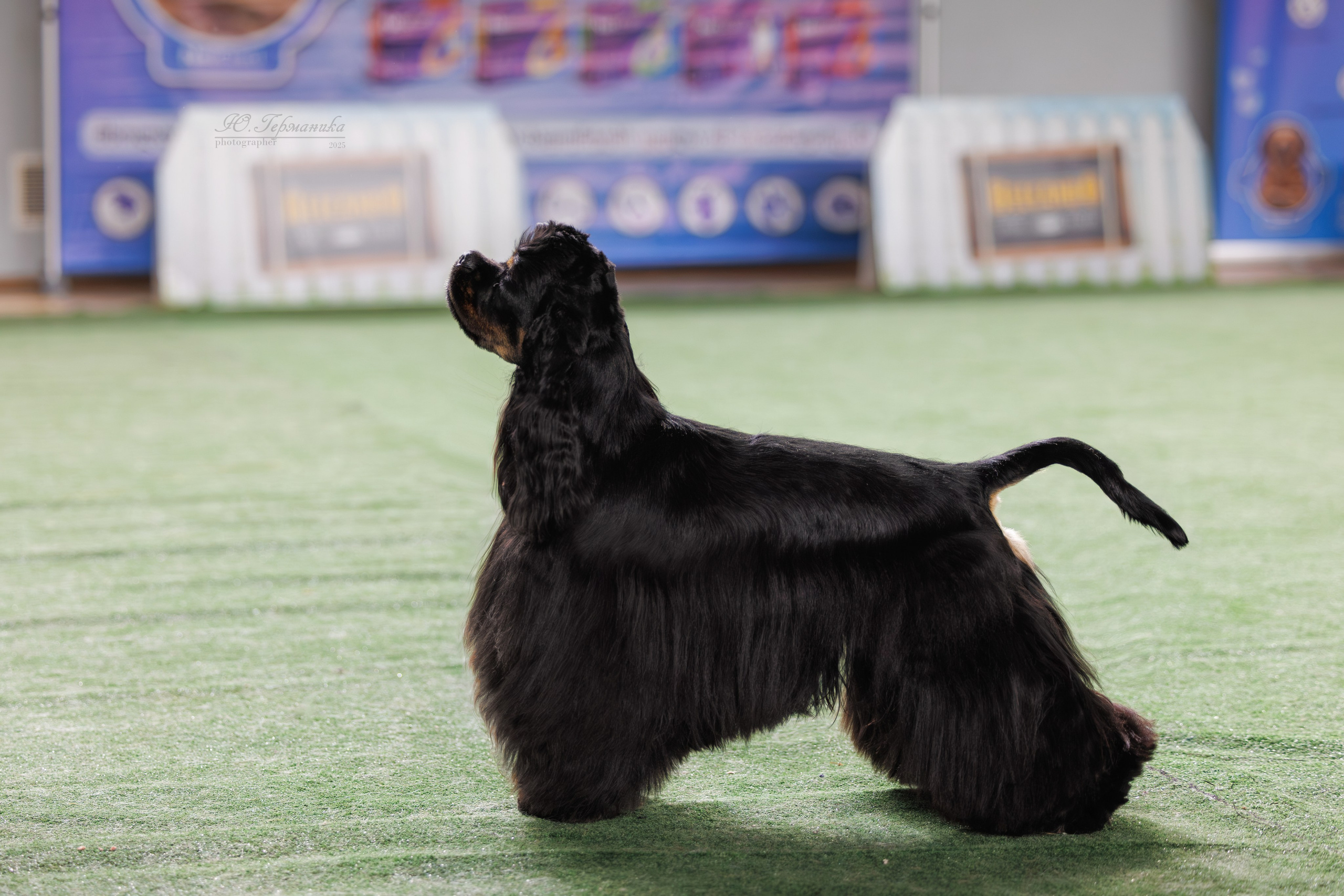 Телави 11-12.10.2025. Фотограф-анималист Юлия Германика