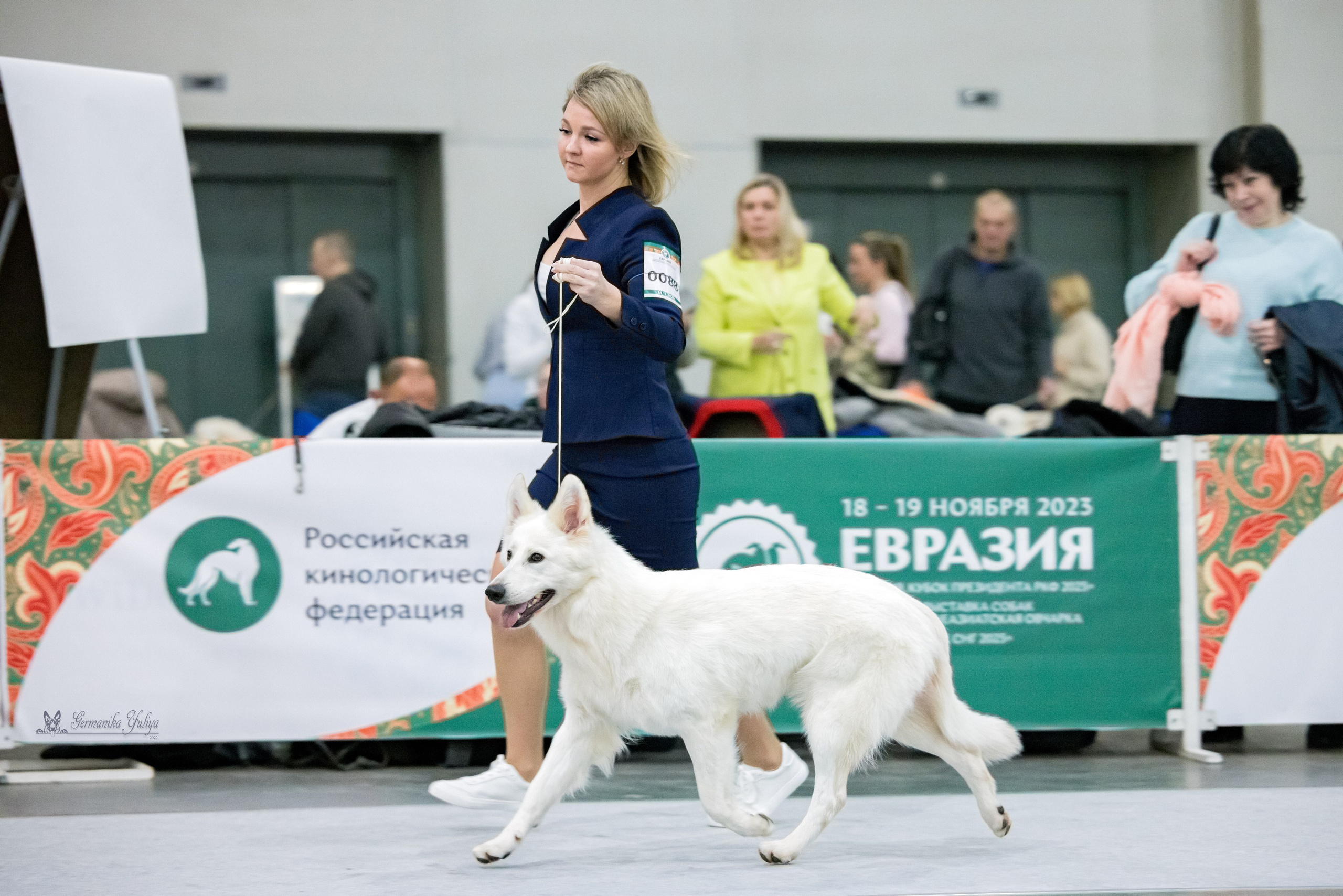 ЕВРАЗИЯ 18-19.11.2023. Фотограф-анималист Юлия Германика