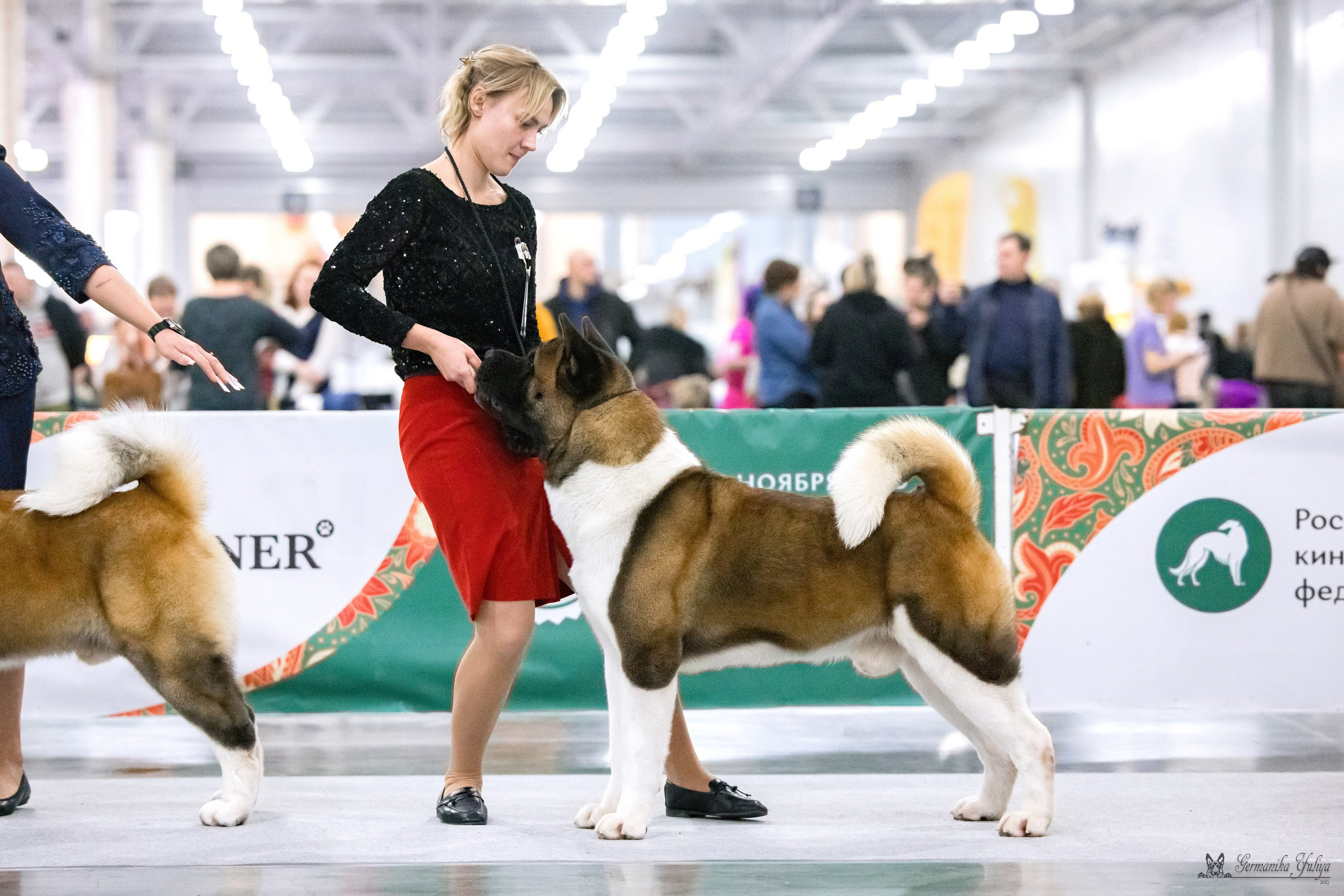 ЕВРАЗИЯ 18-19.11.2023. Фотограф-анималист Юлия Германика